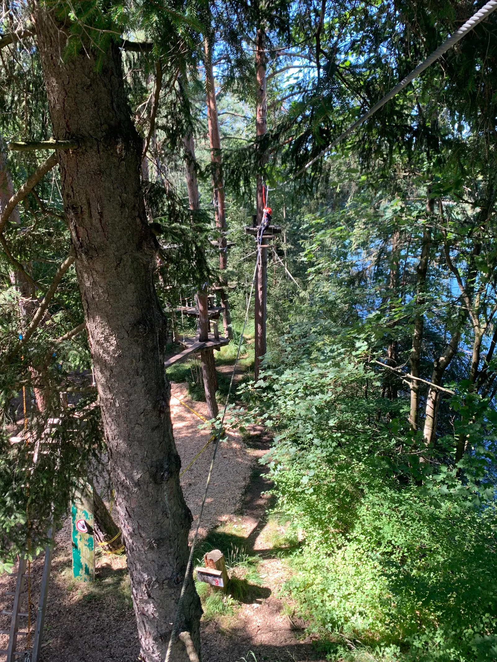 Details at Kletterpark Waldbad Anif Salzburg Salzburg — travel photo
