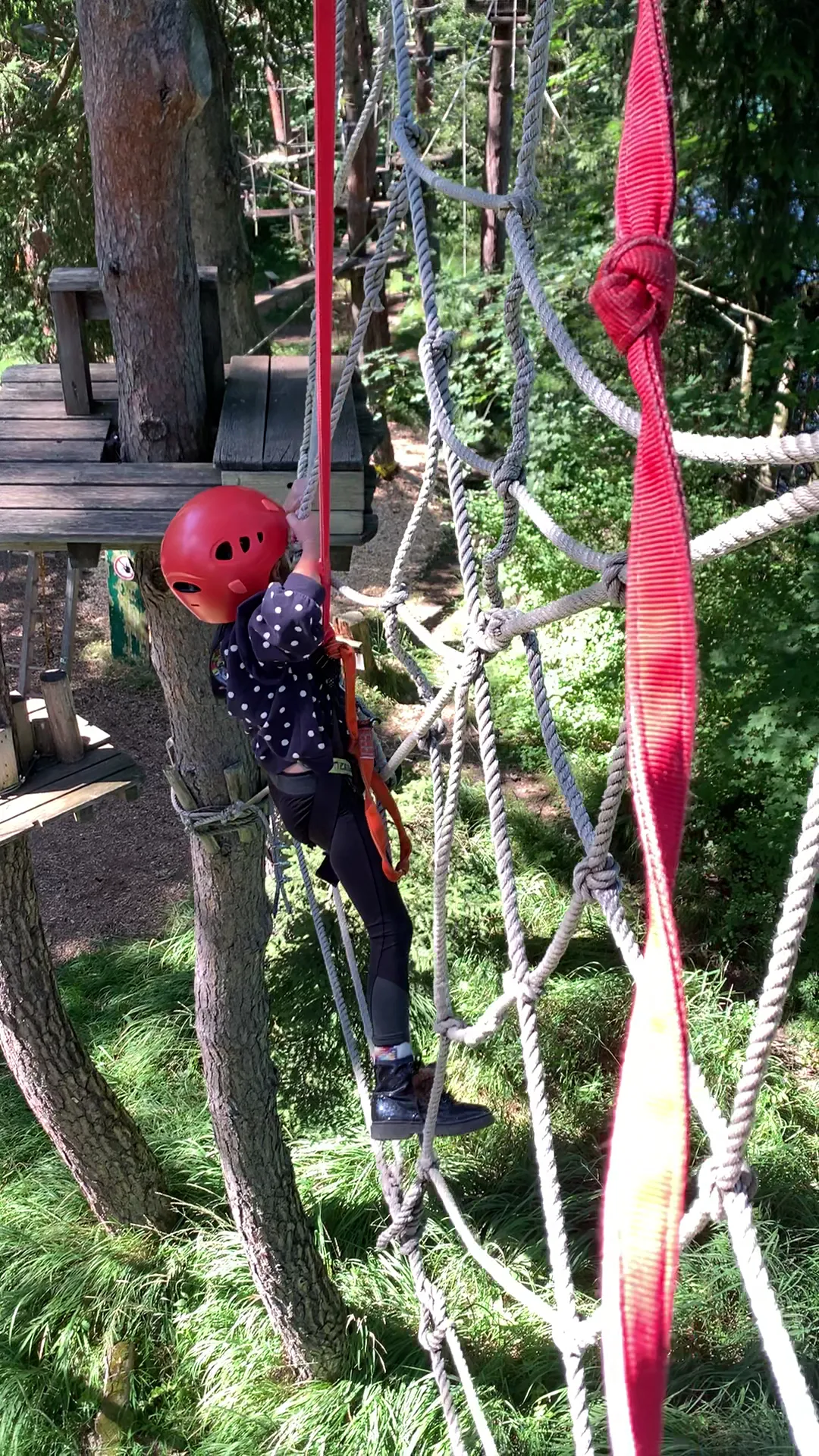 Atmosphere at Kletterpark Waldbad Anif Salzburg Salzburg — travel photo