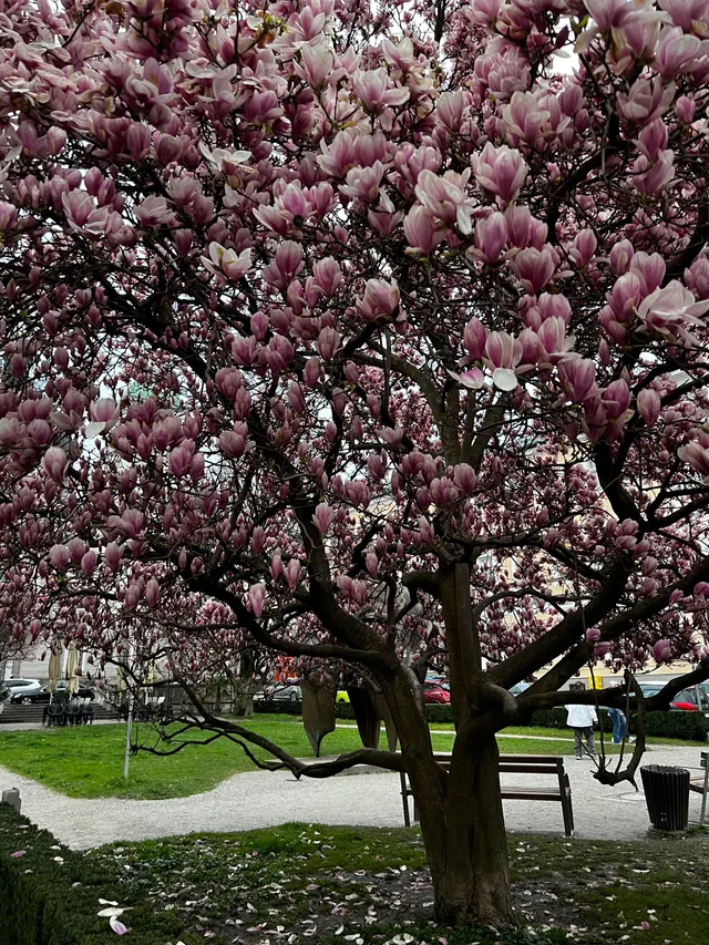 Makartplatz