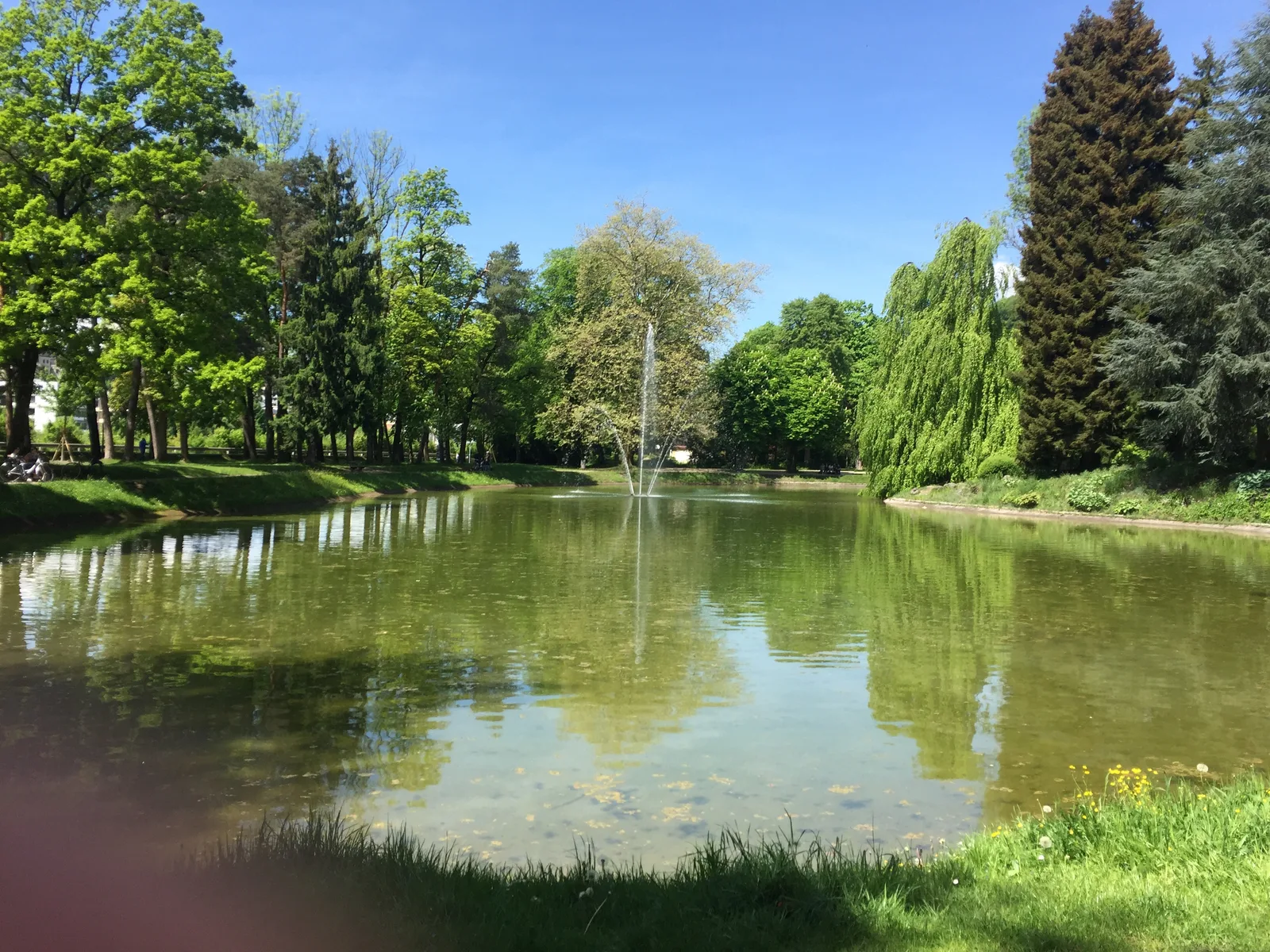 Atmosphere at Volksgarten Salzburg Salzburg — travel photo