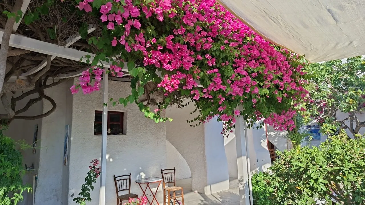 Atmosphere at Domus K 1885 Santorini — travel photo