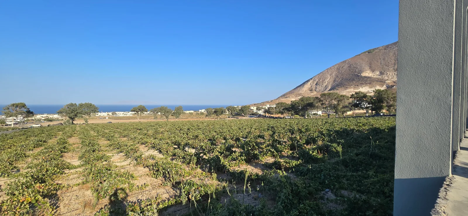 Main view at Estate Argyros Santorini — travel photo