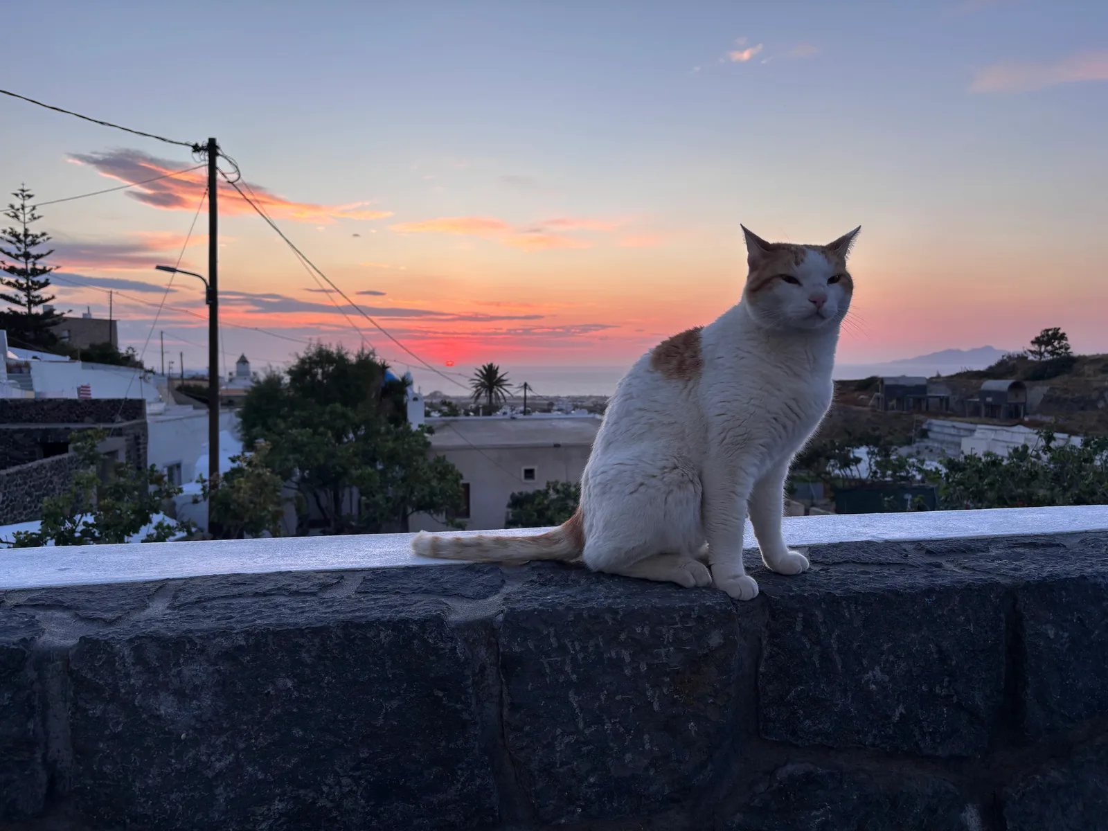 Details at Messi of Santorini Santorini — travel photo