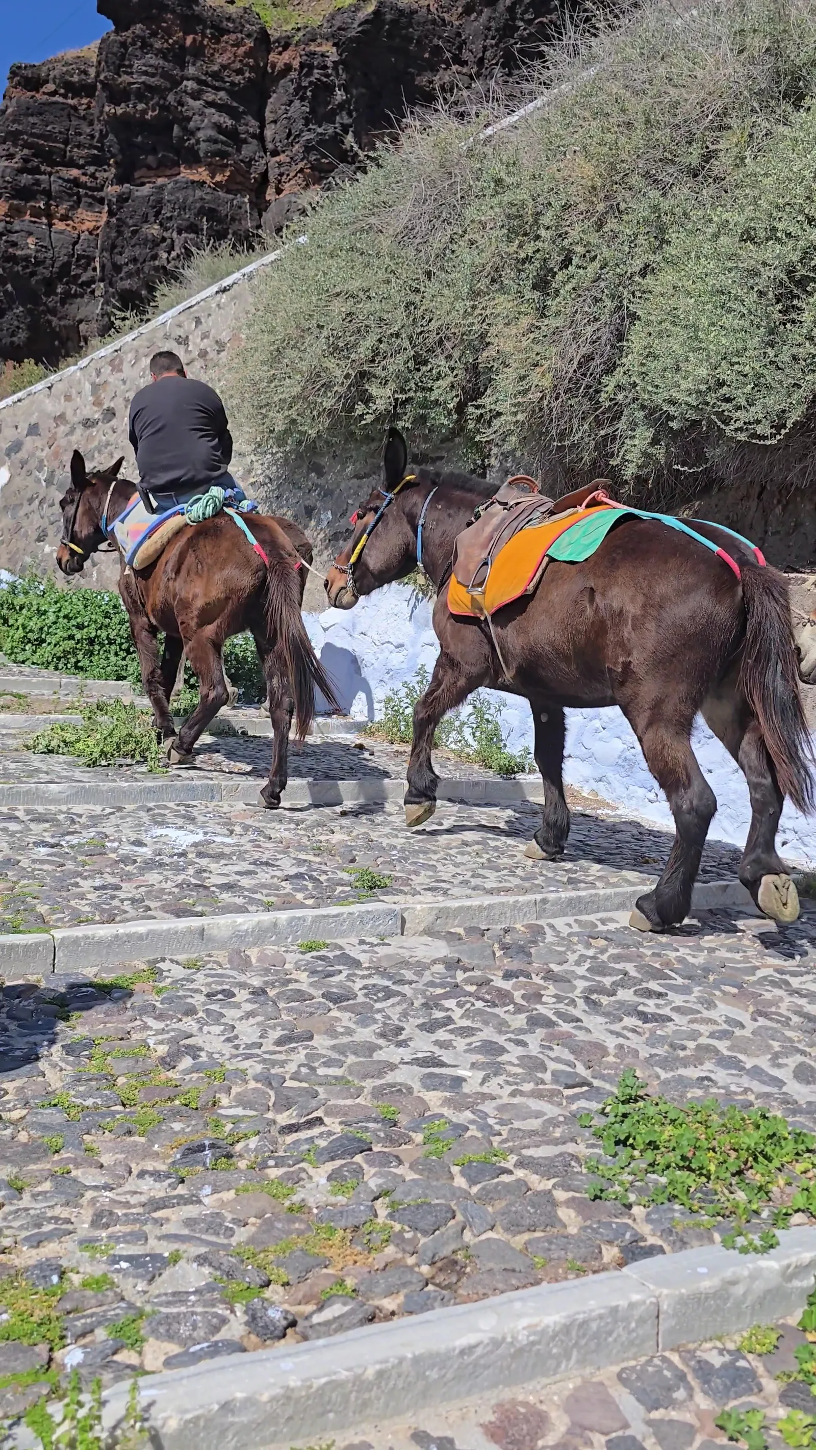 Main view at Santorini Old Harbour Trail Santorini — travel photo