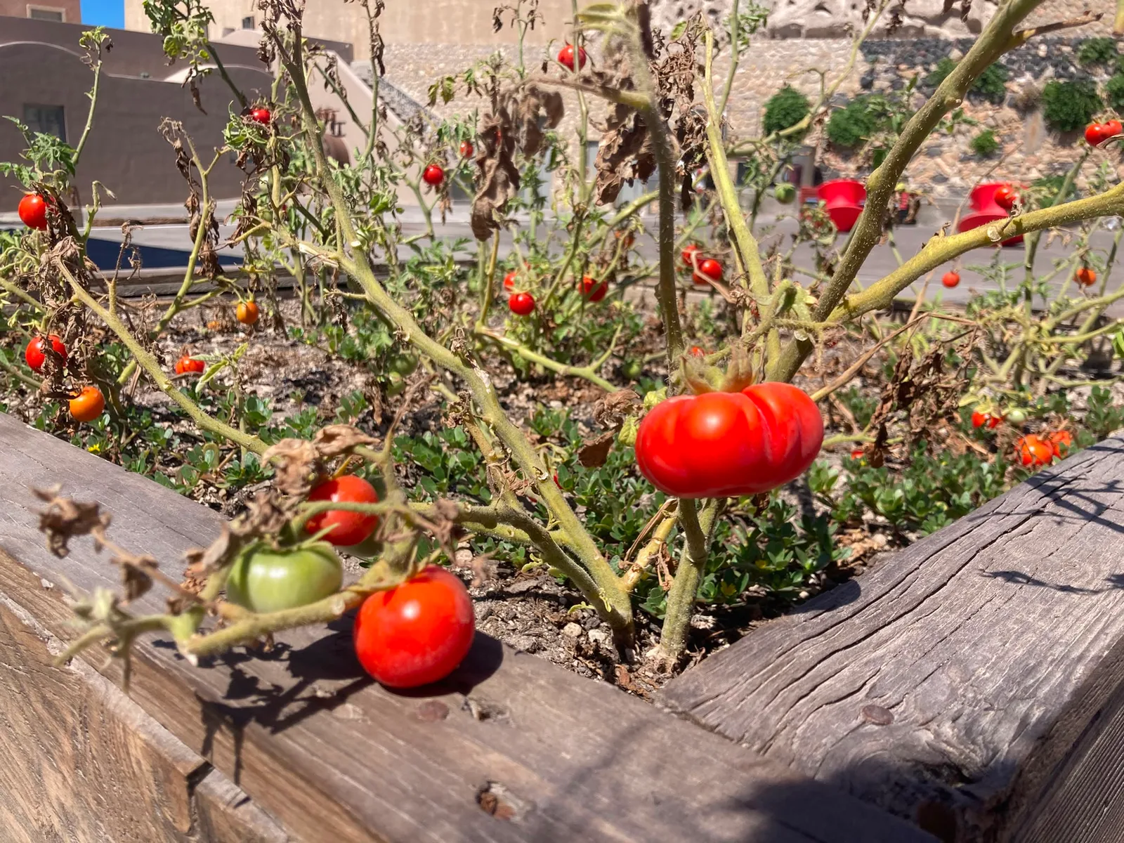Interior at Tomato Industrial Museum, D.Nomikos Santorini — travel photo