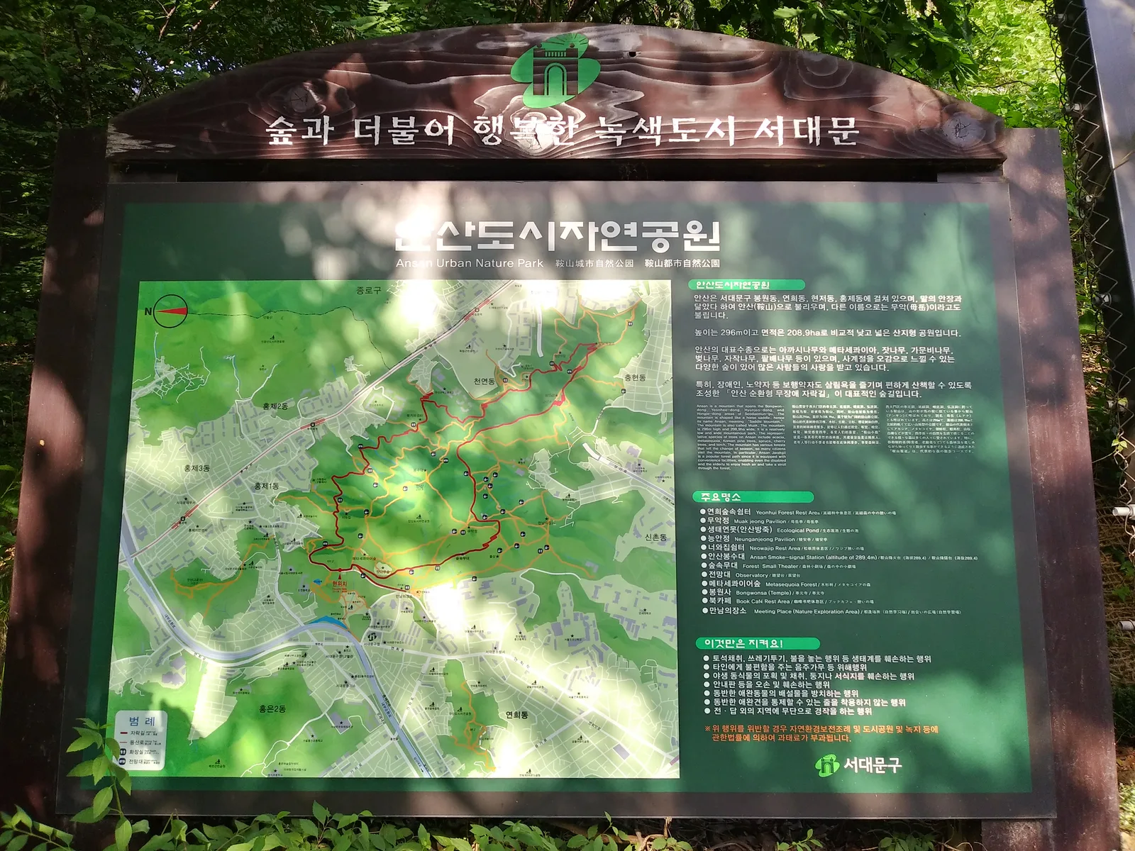 Main view at Ansan Jarak-gil Trail Seoul — travel photo