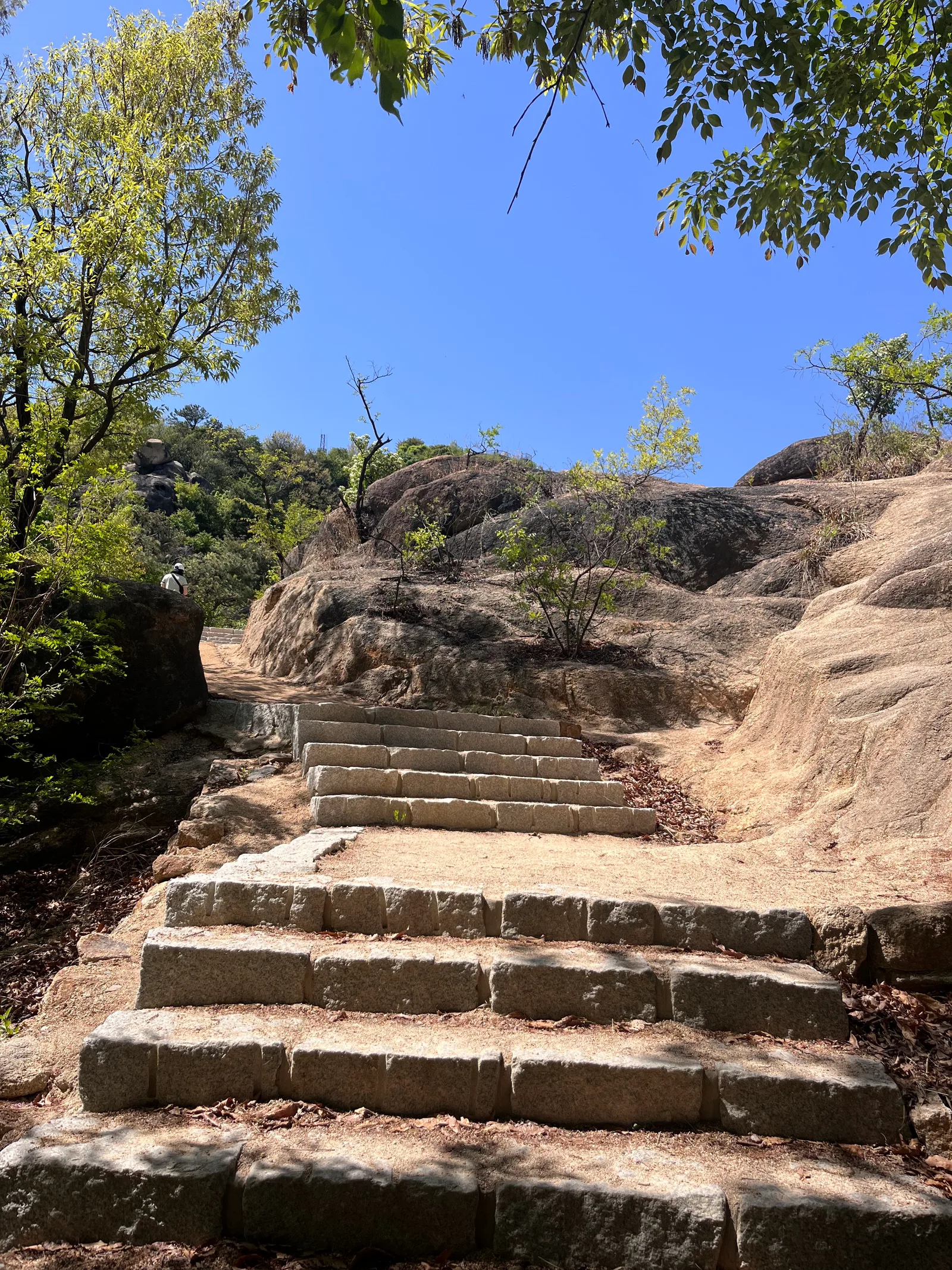 Interior at Ansan Jarak-gil Trail Seoul — travel photo