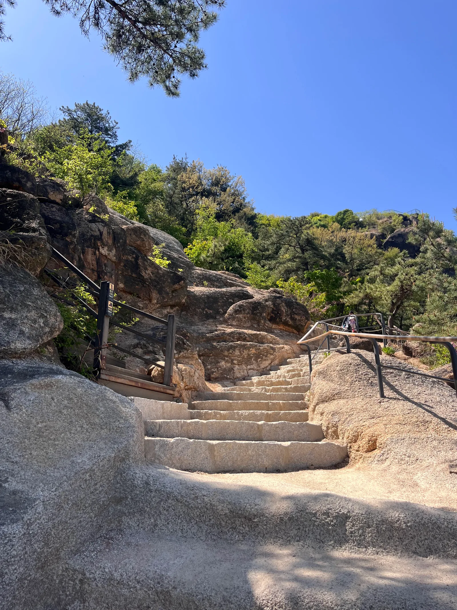 Details at Ansan Jarak-gil Trail Seoul — travel photo