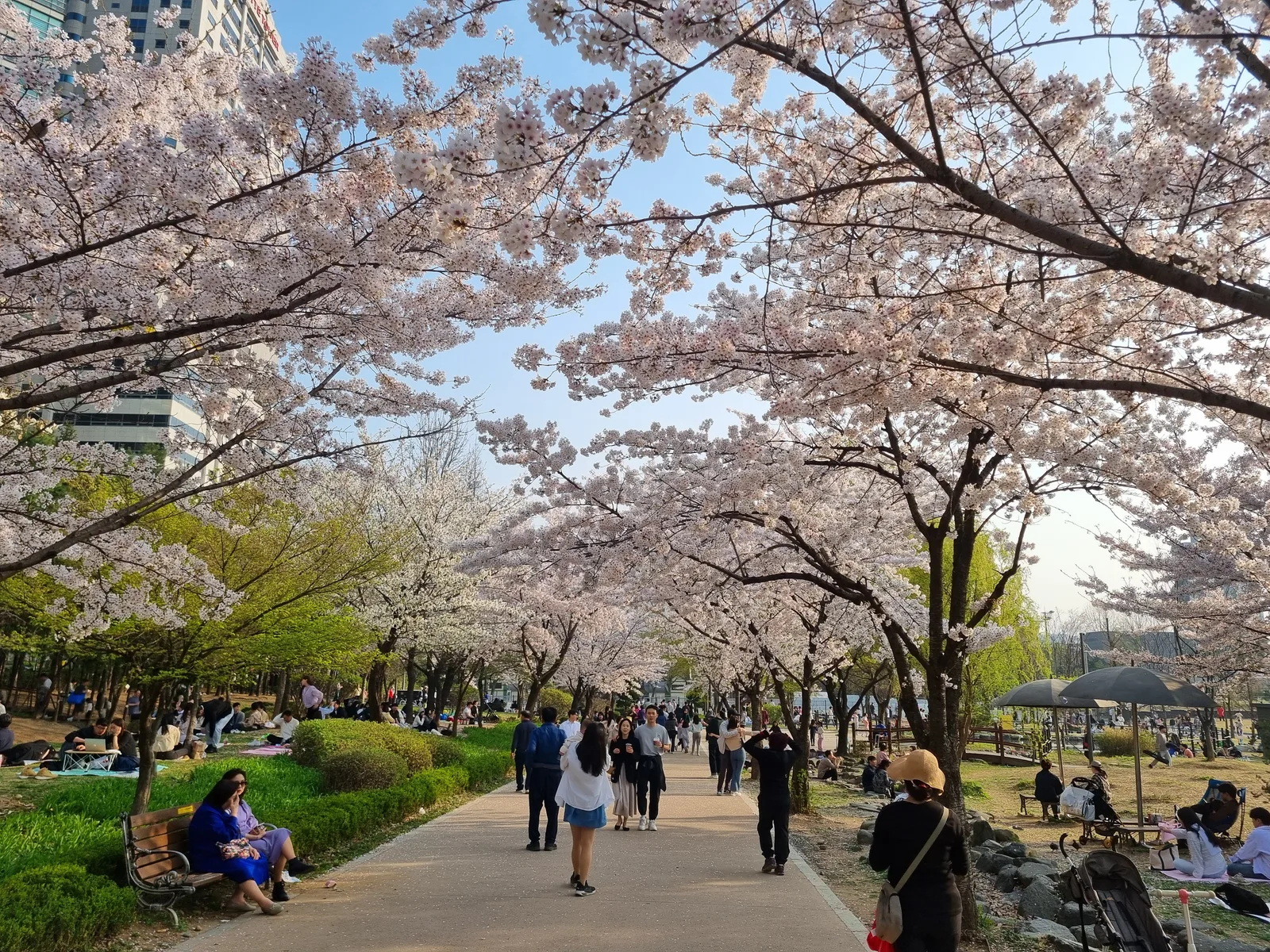 Main view at Boramae Park Seoul — travel photo