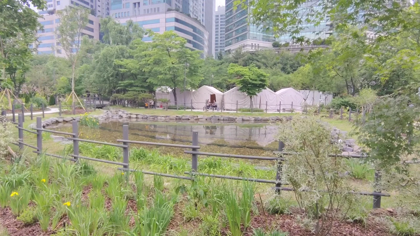 Details at Boramae Park Seoul — travel photo