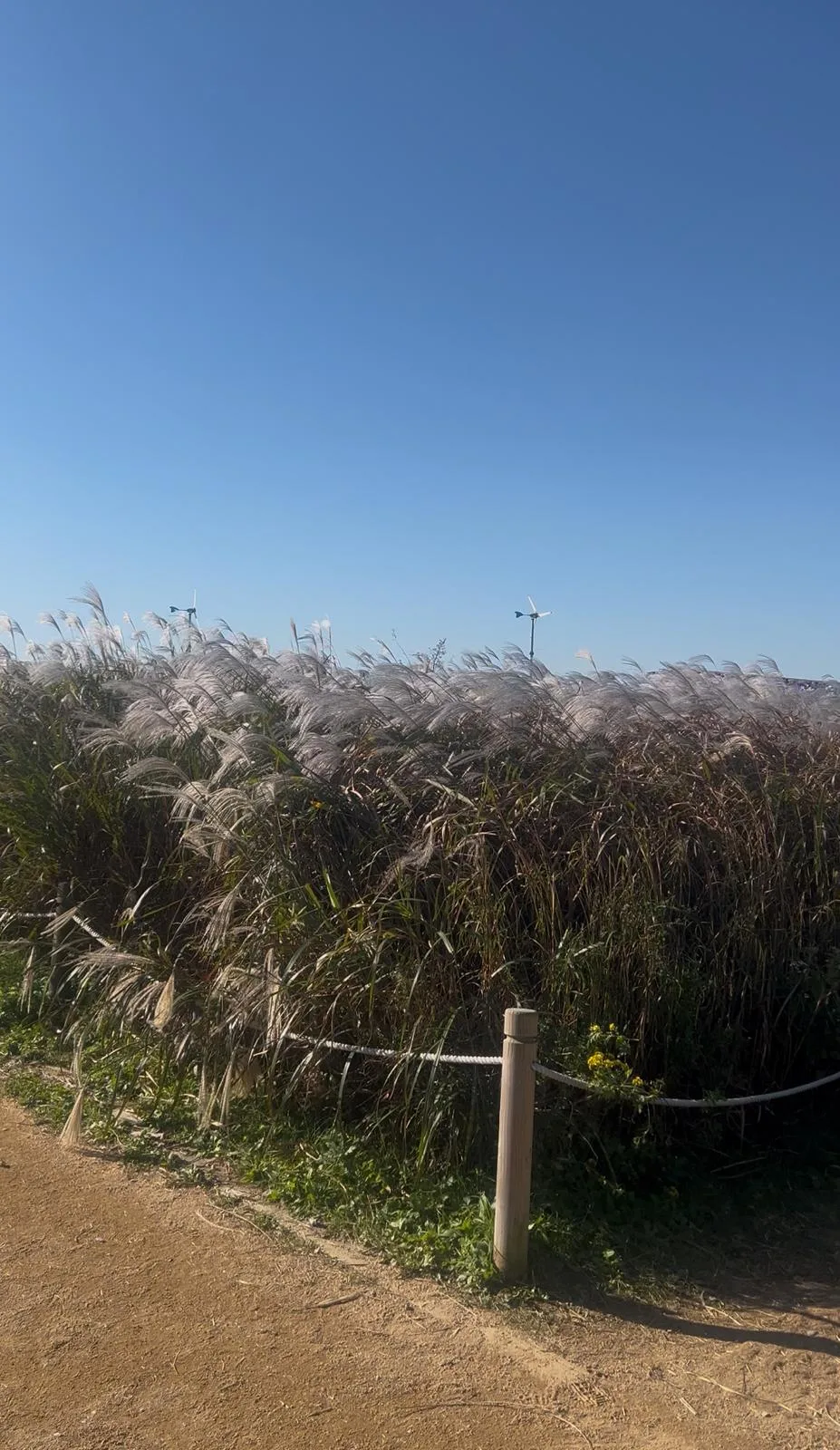 Atmosphere at Haneul Park Seoul — travel photo