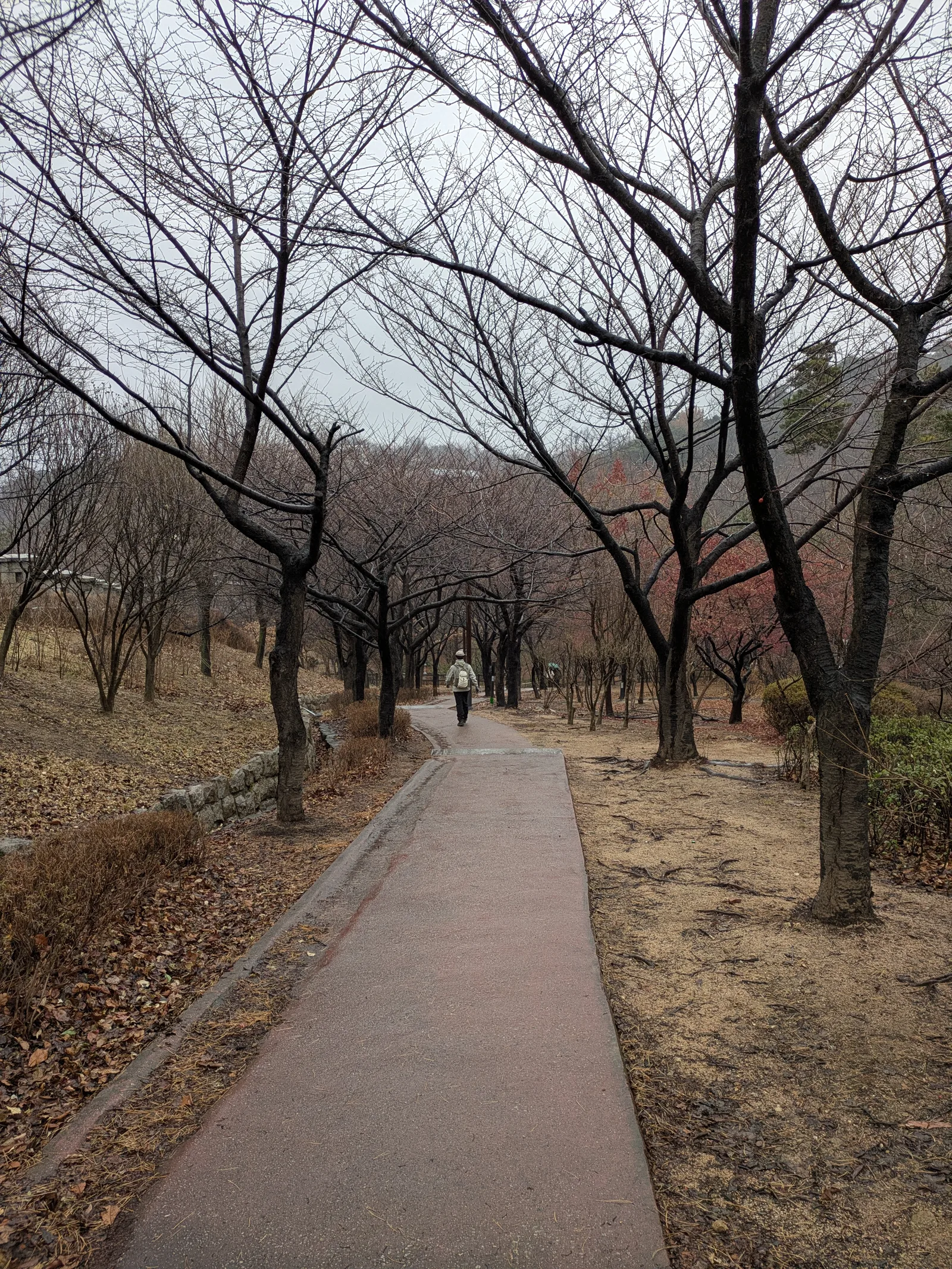 Details at Hill of Poet Yun Dong-ju Seoul — travel photo