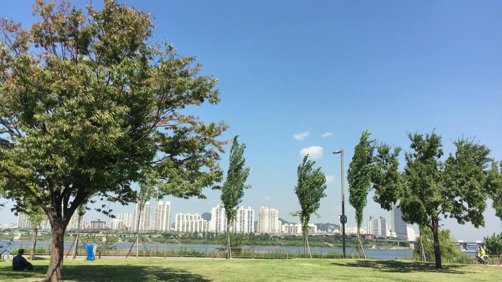 Details at Jamsil Hangang Park Seoul — travel photo