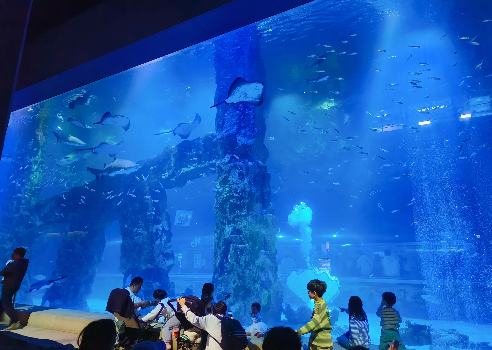 Main view at LOTTE WORLD AQUARIUM Seoul — travel photo
