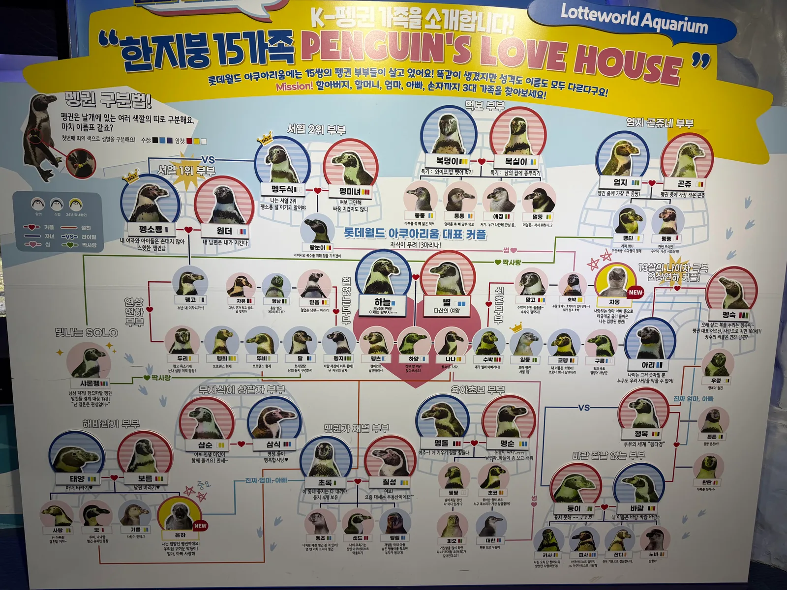 Details at LOTTE WORLD AQUARIUM Seoul — travel photo