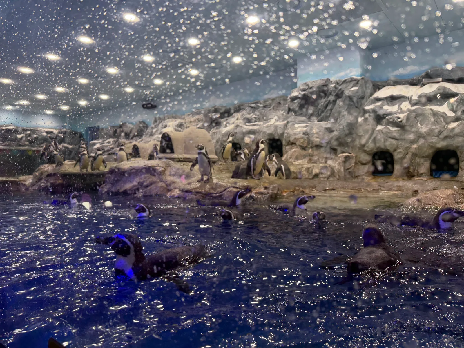 Atmosphere at LOTTE WORLD AQUARIUM Seoul — travel photo