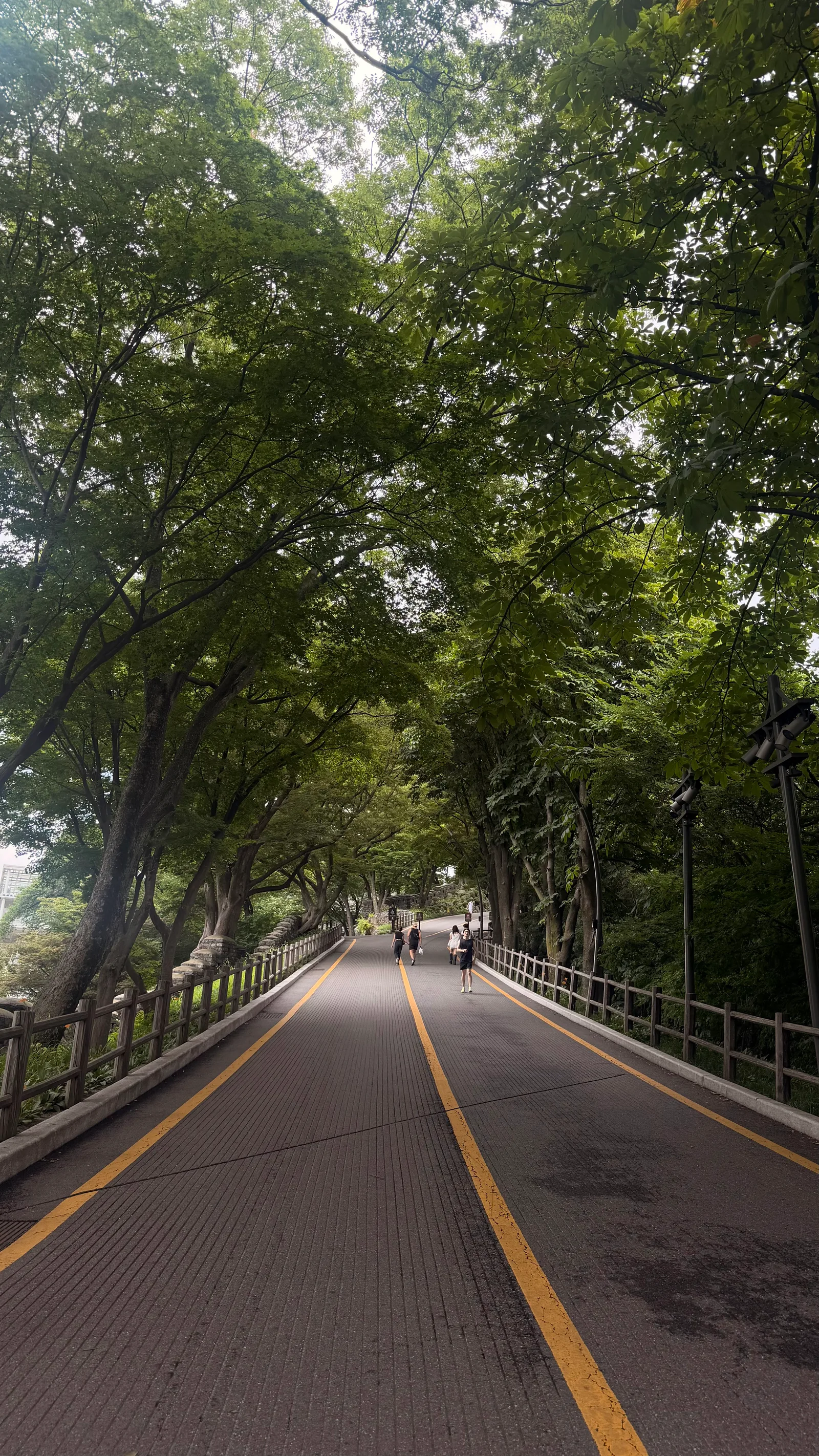 Main view at N Seoul Tower Seoul — travel photo