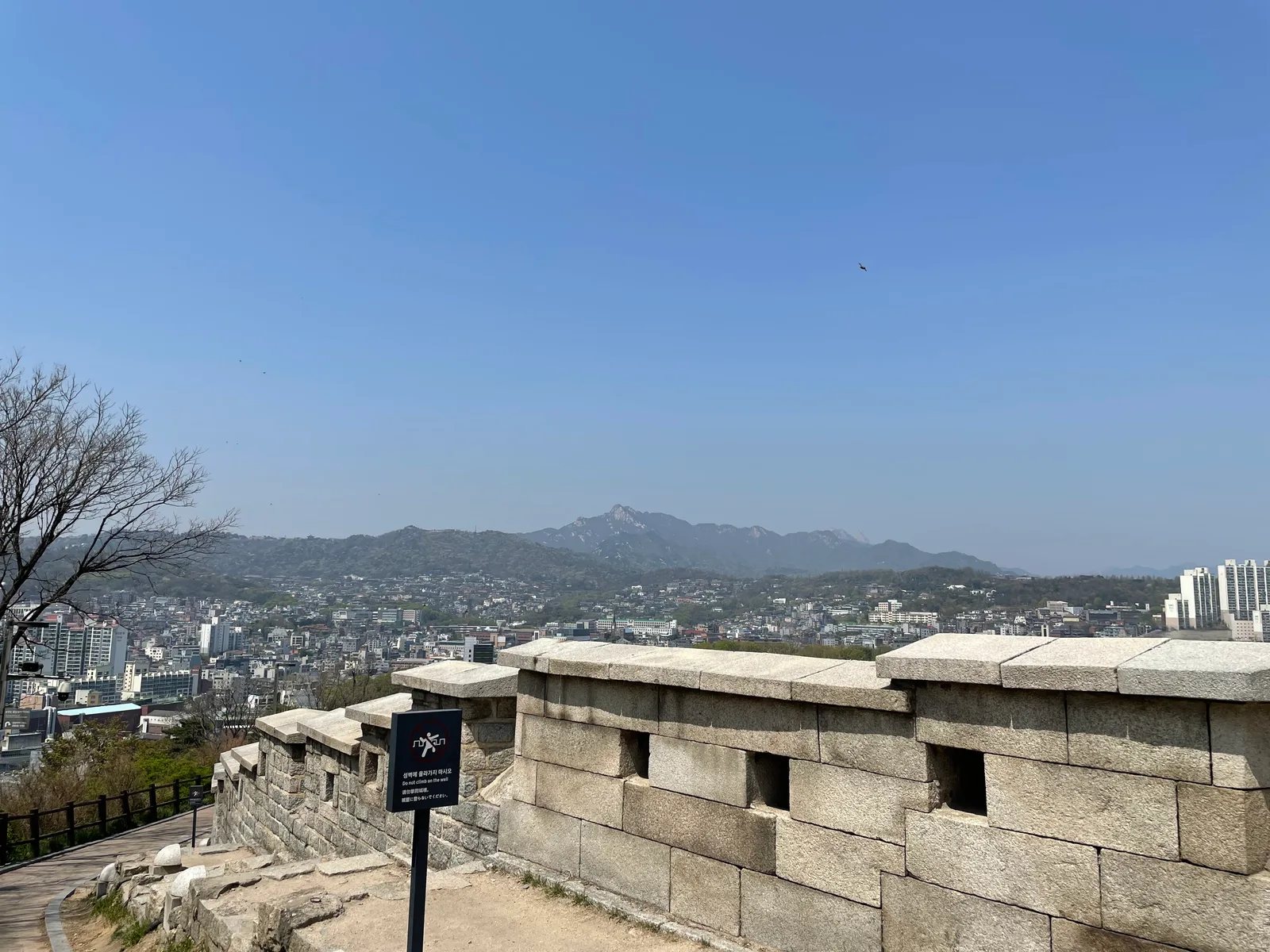 Main view at Naksan Park Seoul — travel photo
