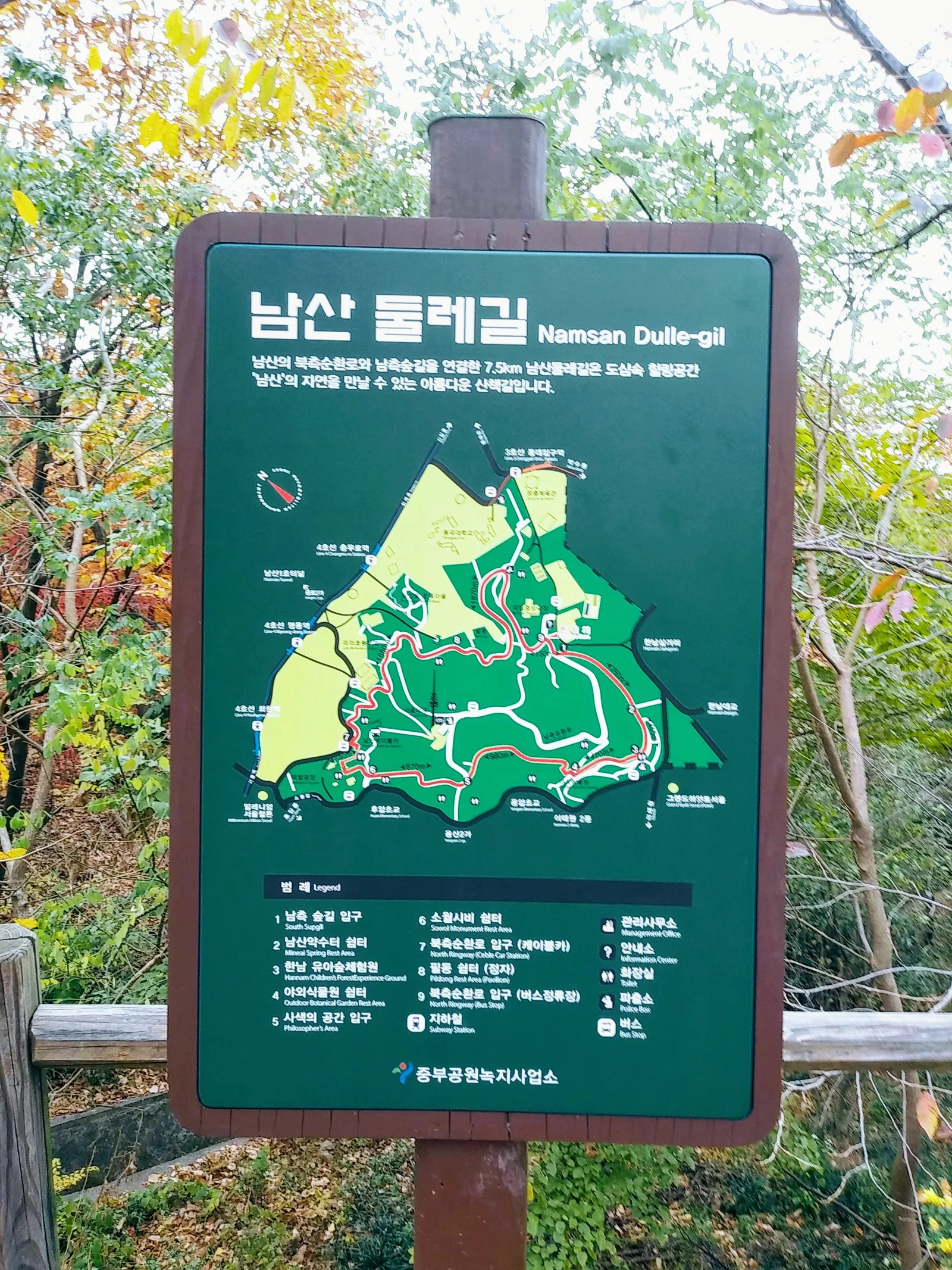 Main view at Namsan Dulle-gil Trail Seoul — travel photo