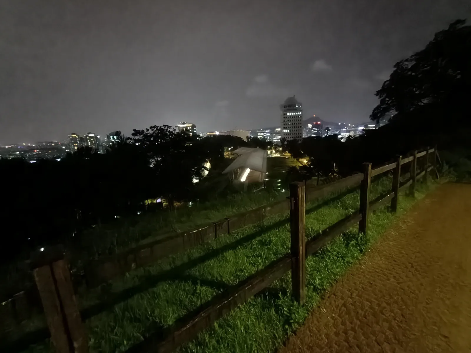 Details at Namsan Dulle-gil Trail Seoul — travel photo