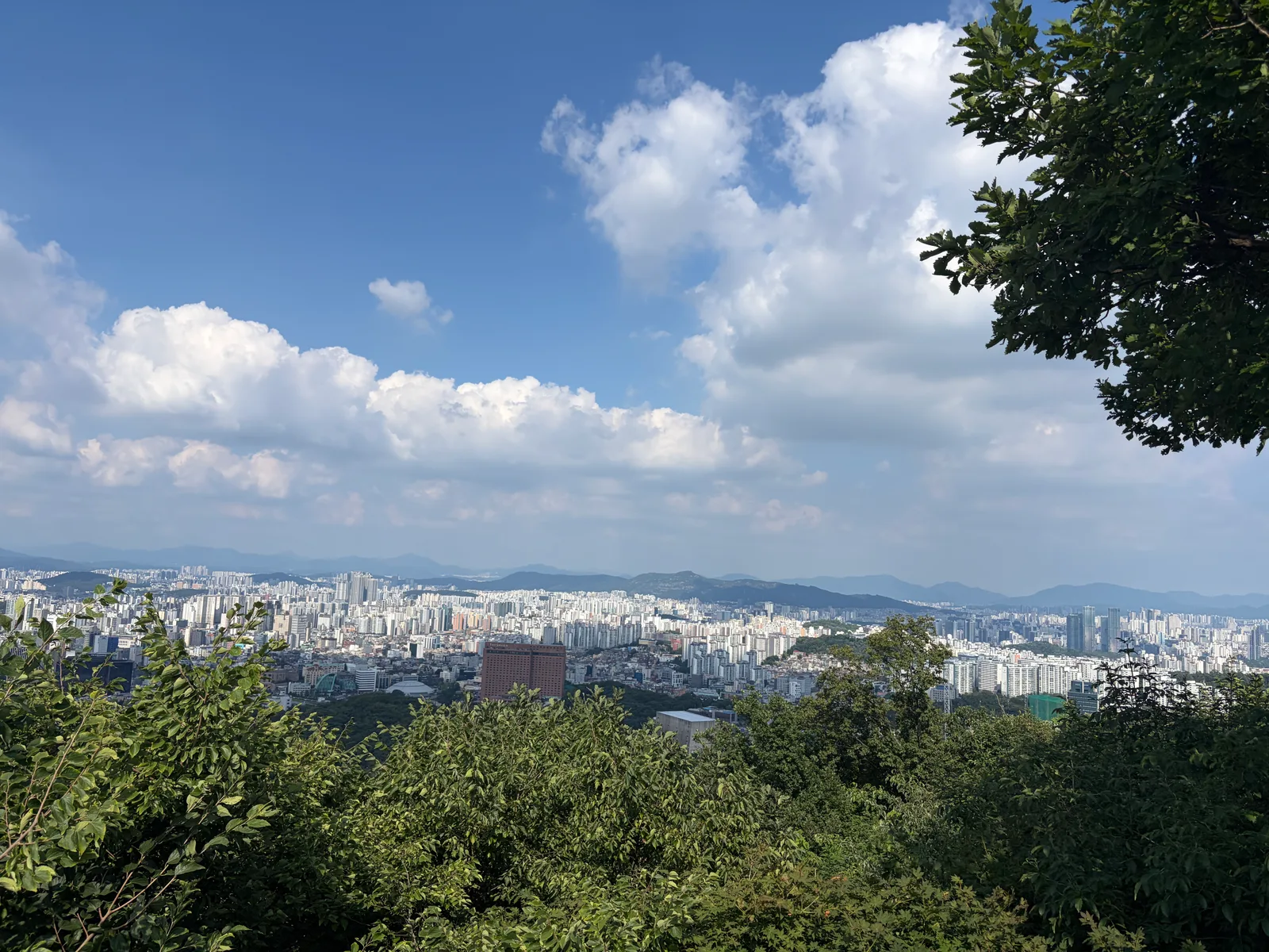 Namsan Mountain Park — family guide Seoul
