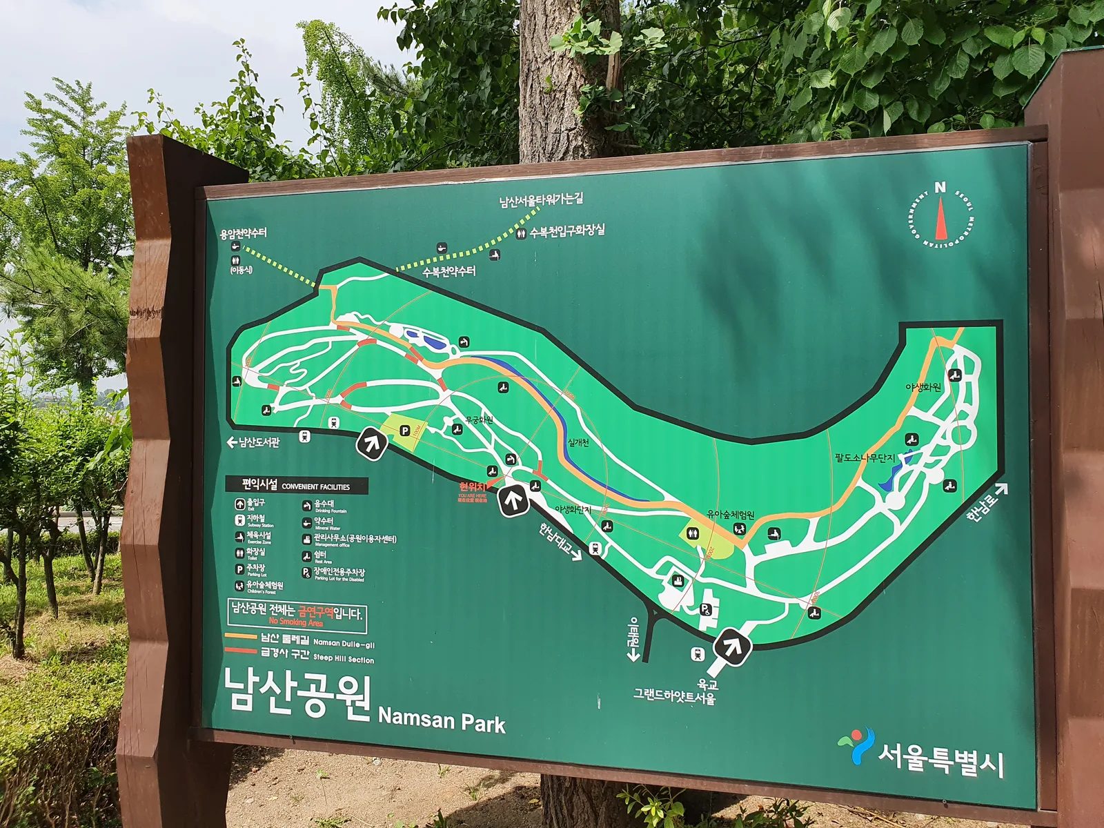 Main view at Namsan Outdoor Botanical Garden Seoul — travel photo