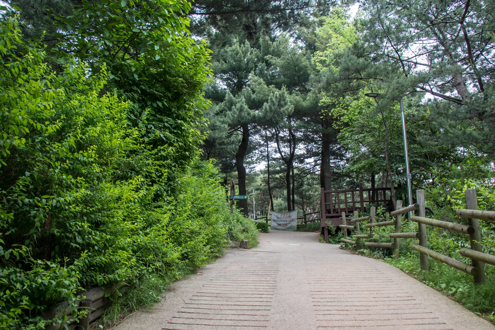 Details at Namsan Outdoor Botanical Garden Seoul — travel photo