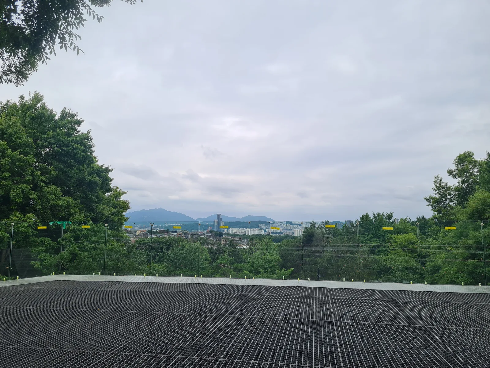 Atmosphere at Namsan Outdoor Botanical Garden Seoul — travel photo
