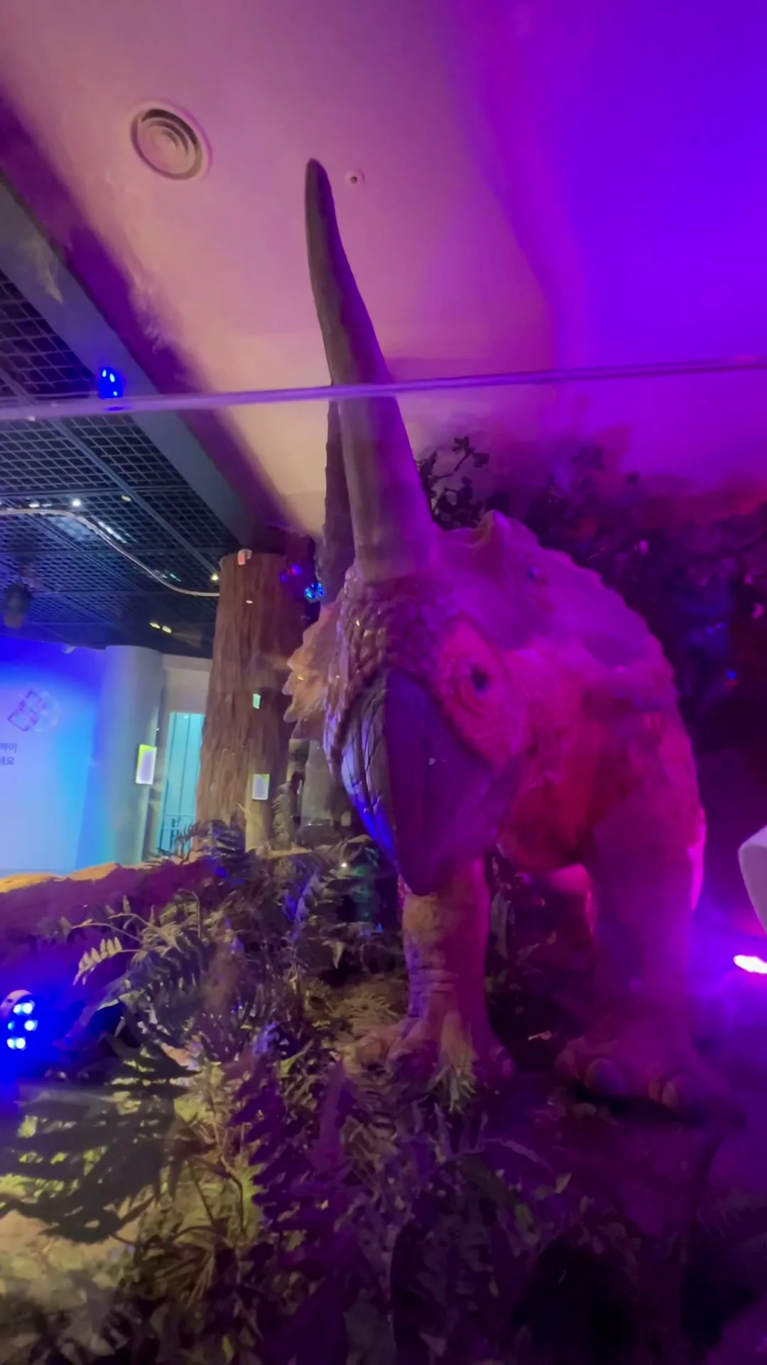 Interior at National Children's Science Center Seoul — travel photo