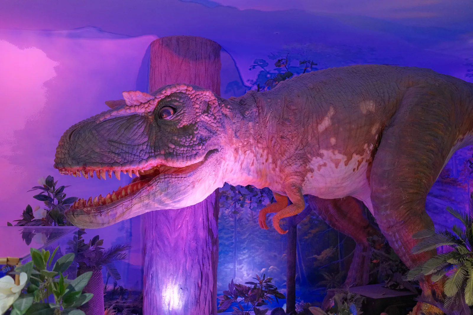 Details at National Children's Science Center Seoul — travel photo