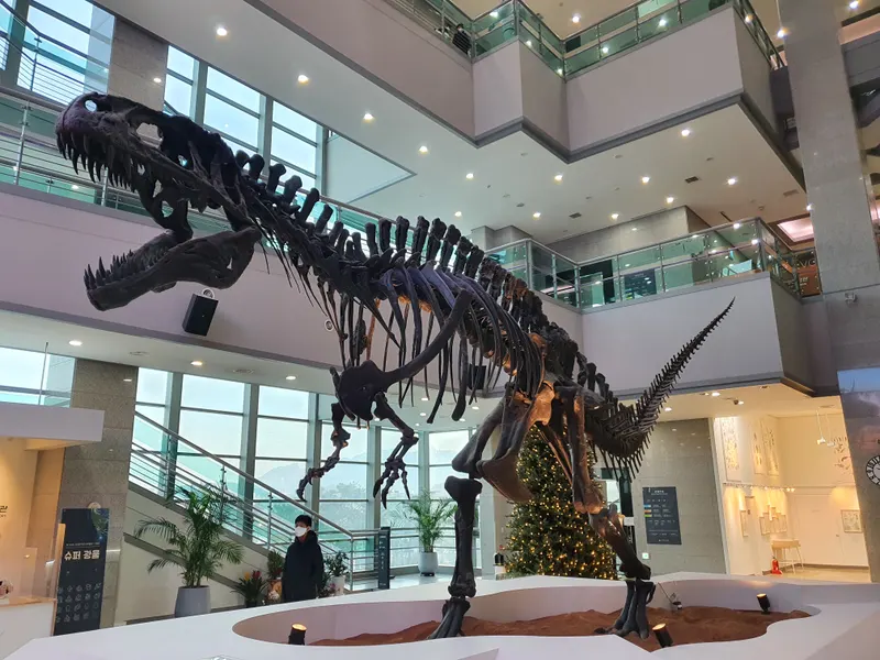 Seodaemun Museum of Natural History — Museum in Seoul