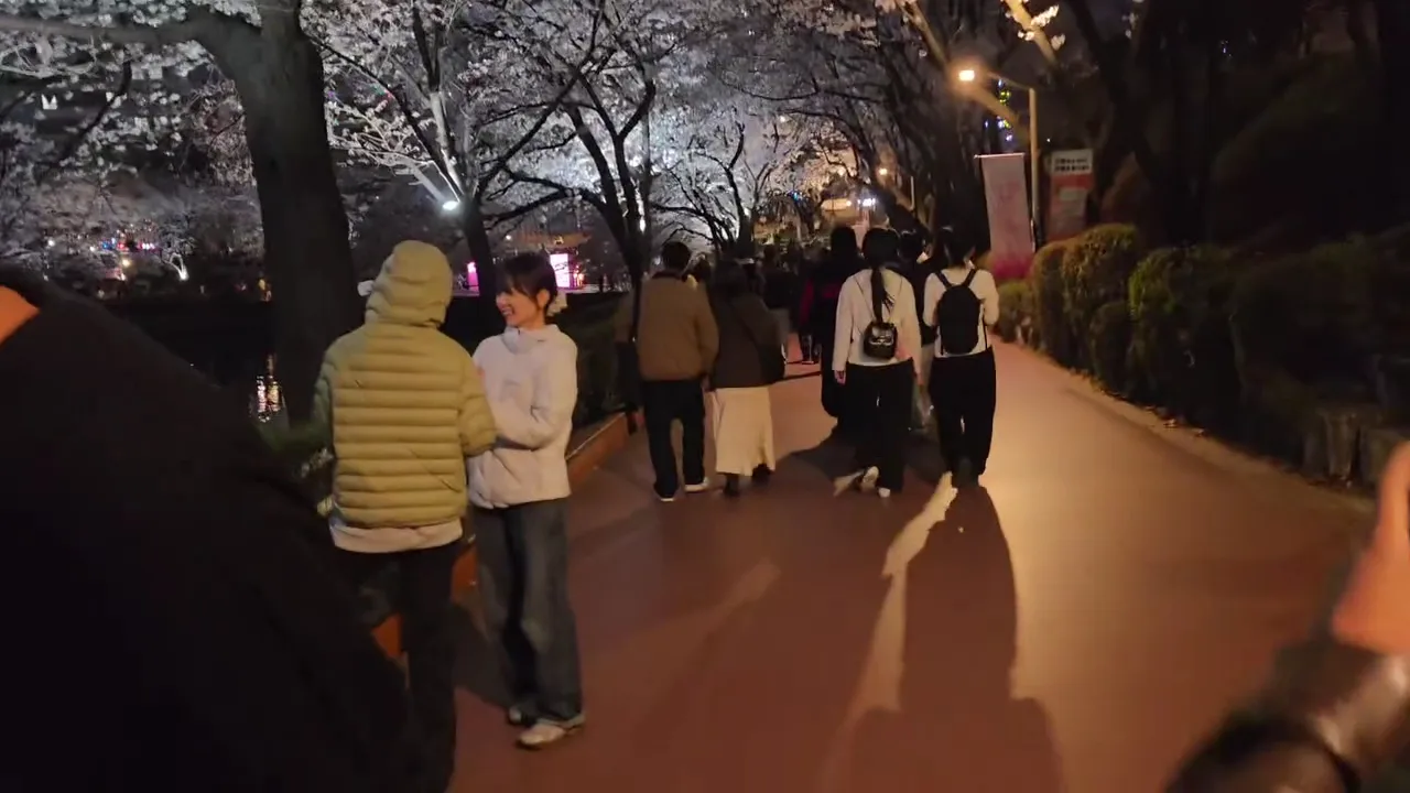 Main view at Seokchon Lake Seoul — travel photo