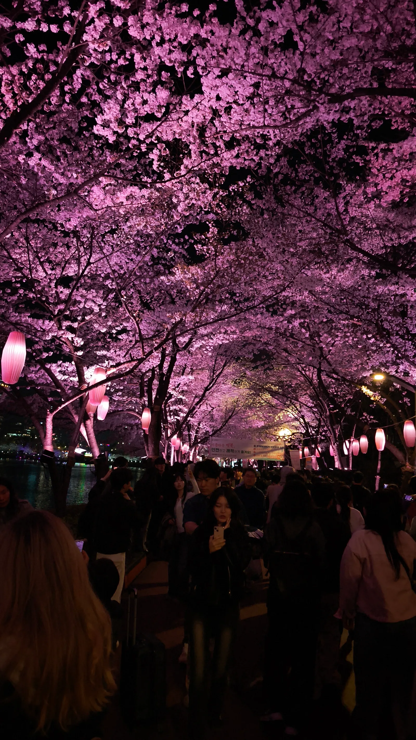 Interior at Seokchon Lake Seoul — travel photo