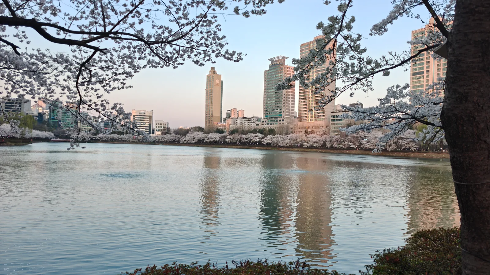 Atmosphere at Seokchon Lake Seoul — travel photo