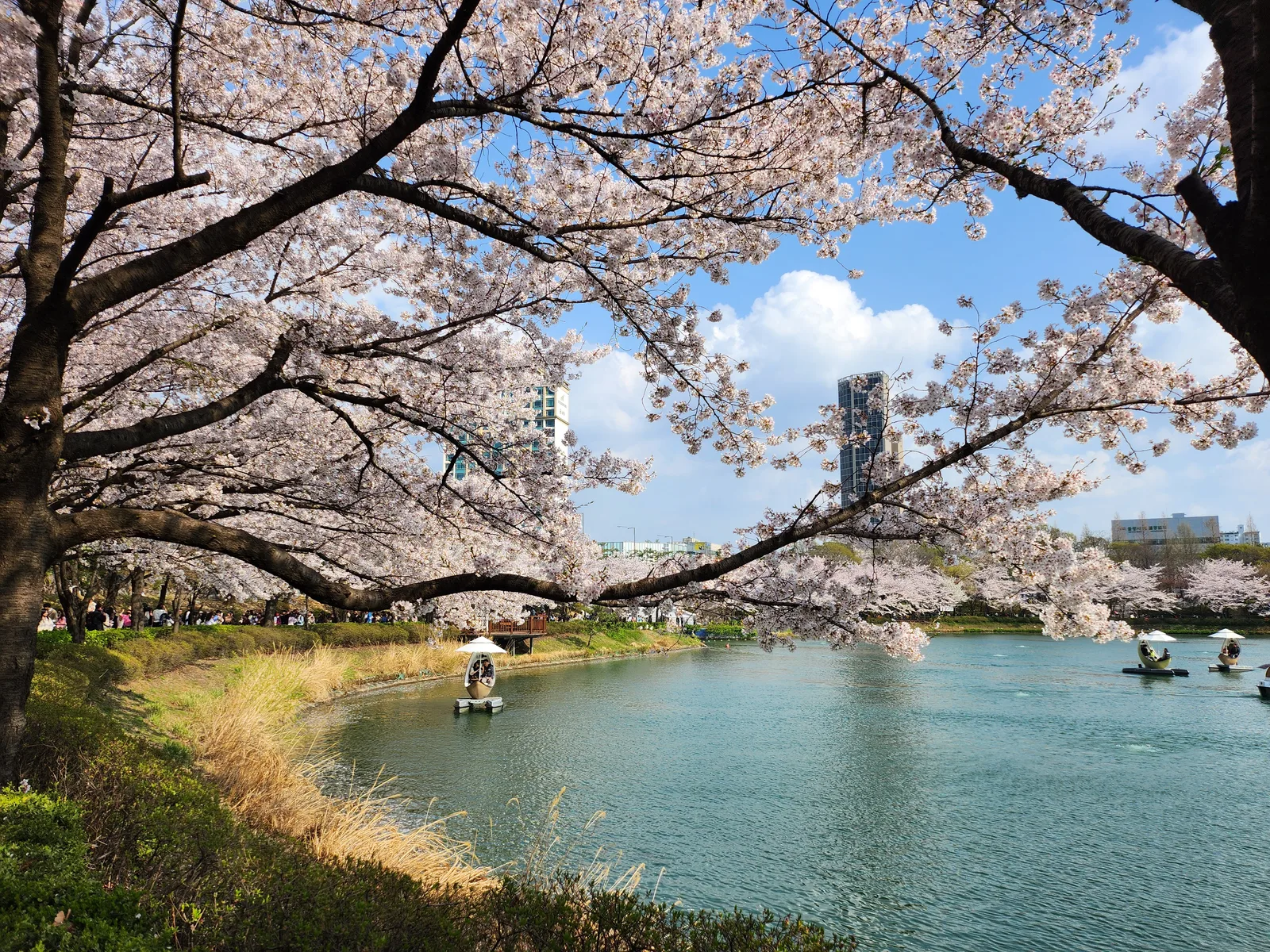 Main view at Seokchon Lake Park Seoul — travel photo