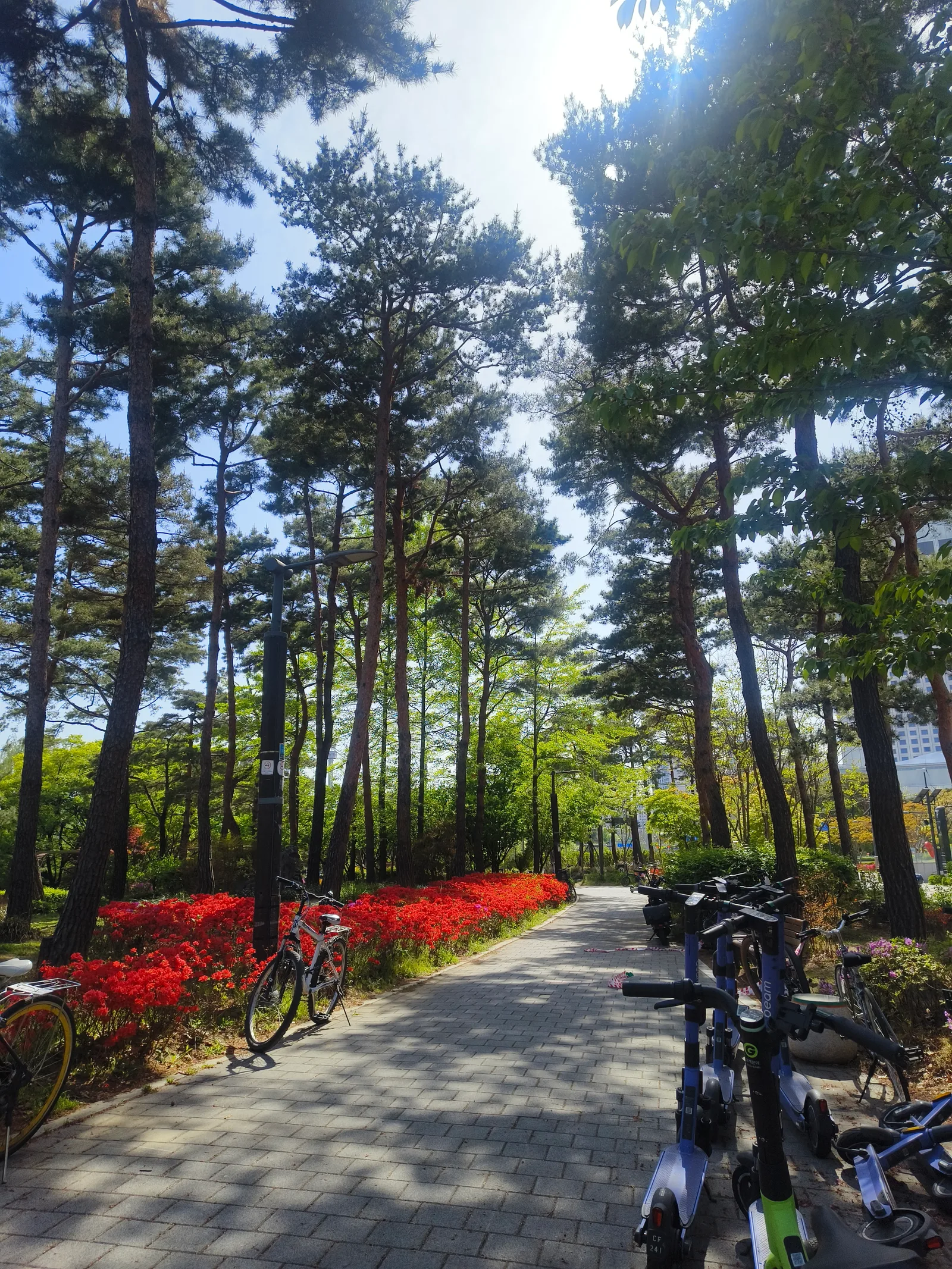 Details at Seokchon Lake Park Seoul — travel photo