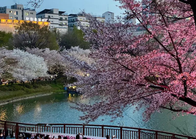 Seokchon Lake