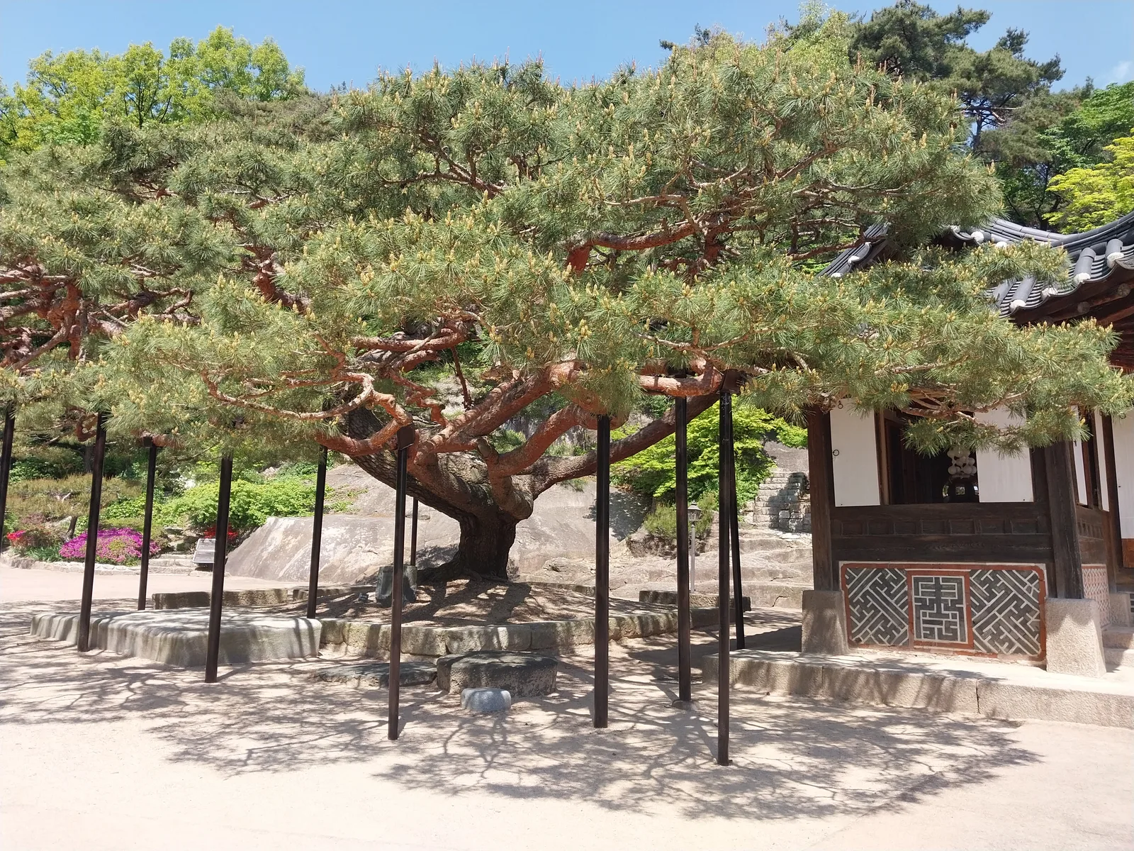 Details at Seokpajeong Seoul Art Museum Seoul — travel photo