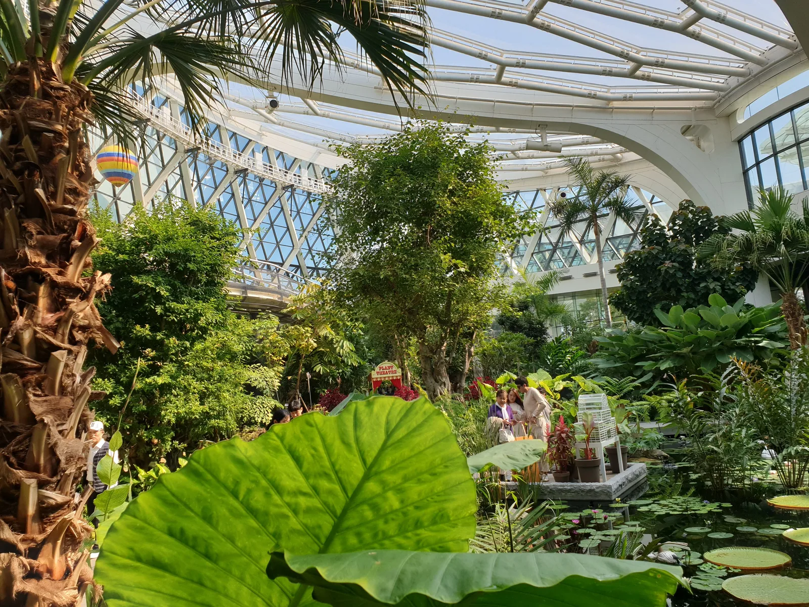 Interior at Seoul Botanic Park Seoul — travel photo