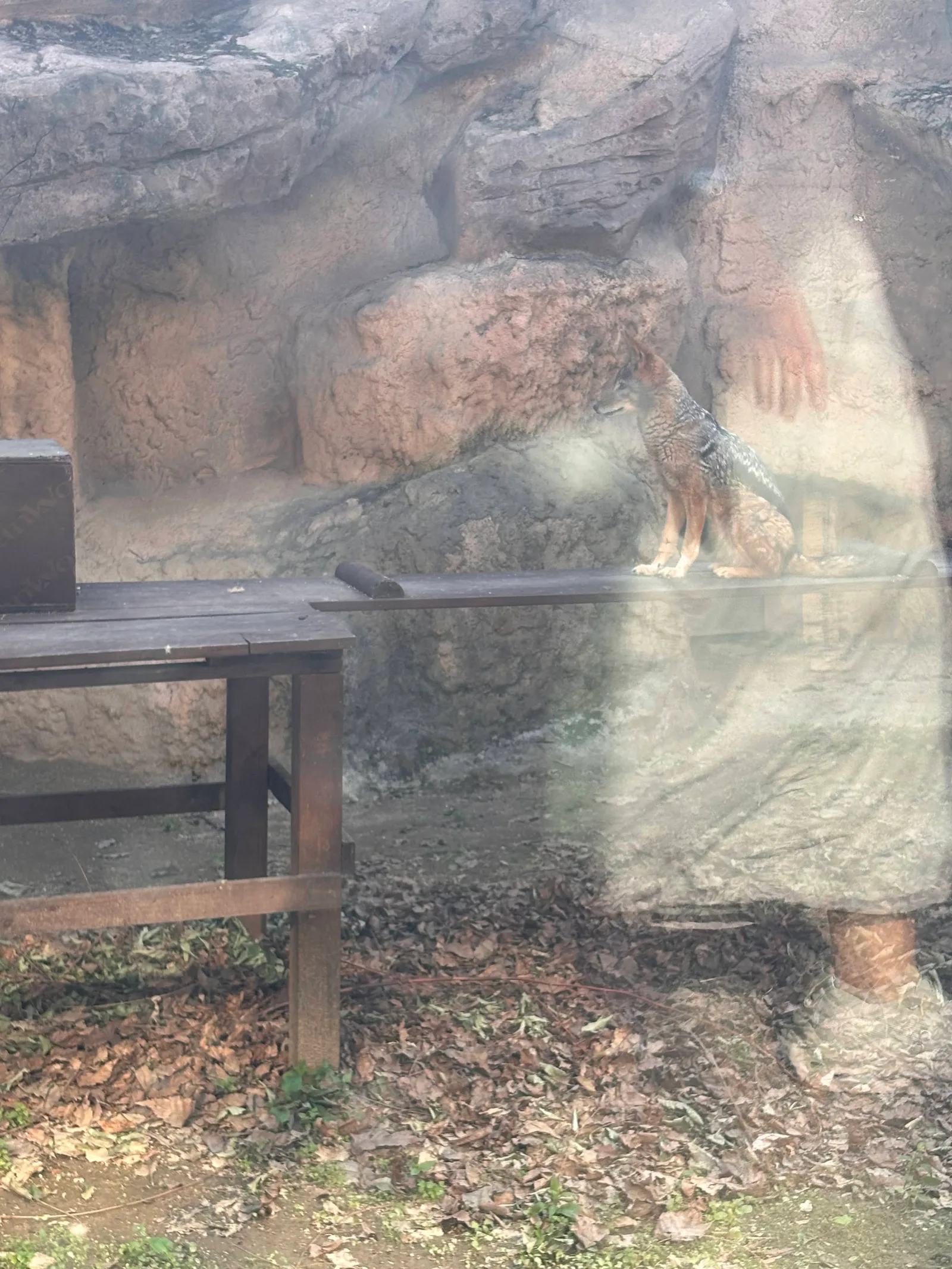Details at Seoul Children's Grand Park Seoul — travel photo