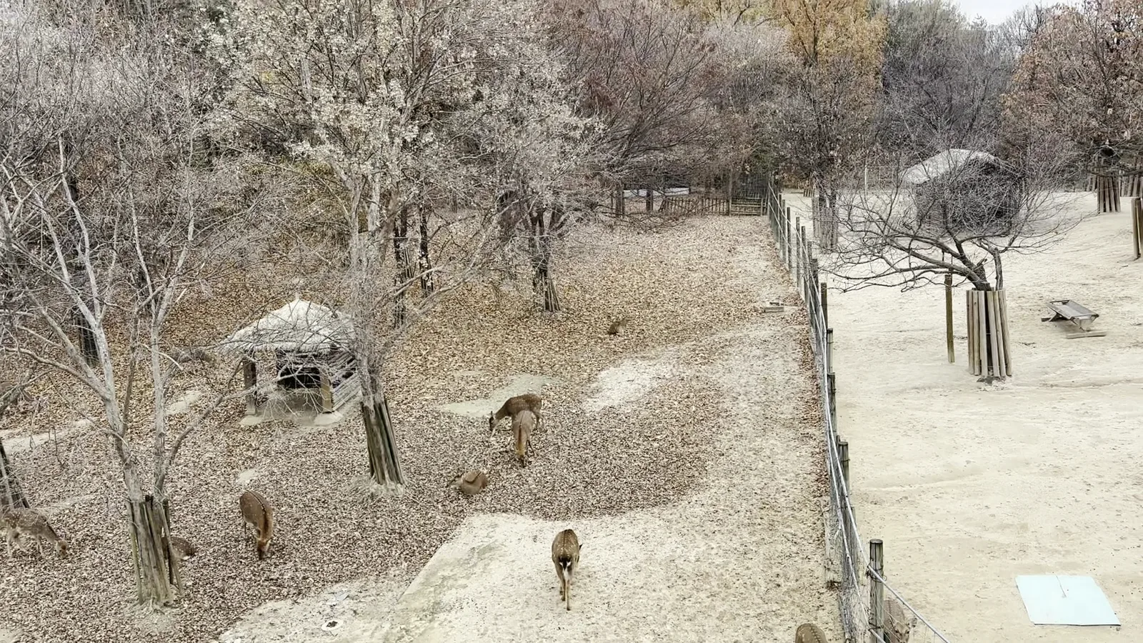 Interior at Seoul Forest - Deer Corral Seoul — travel photo