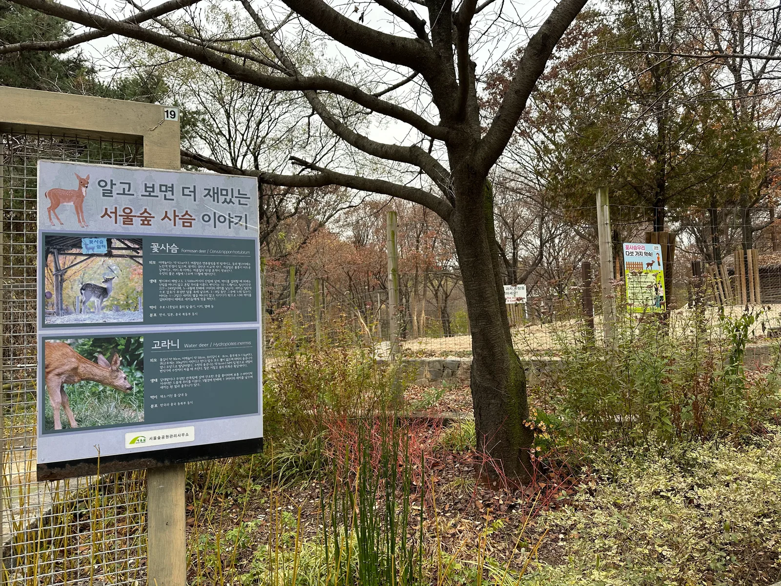 Details at Seoul Forest - Deer Corral Seoul — travel photo