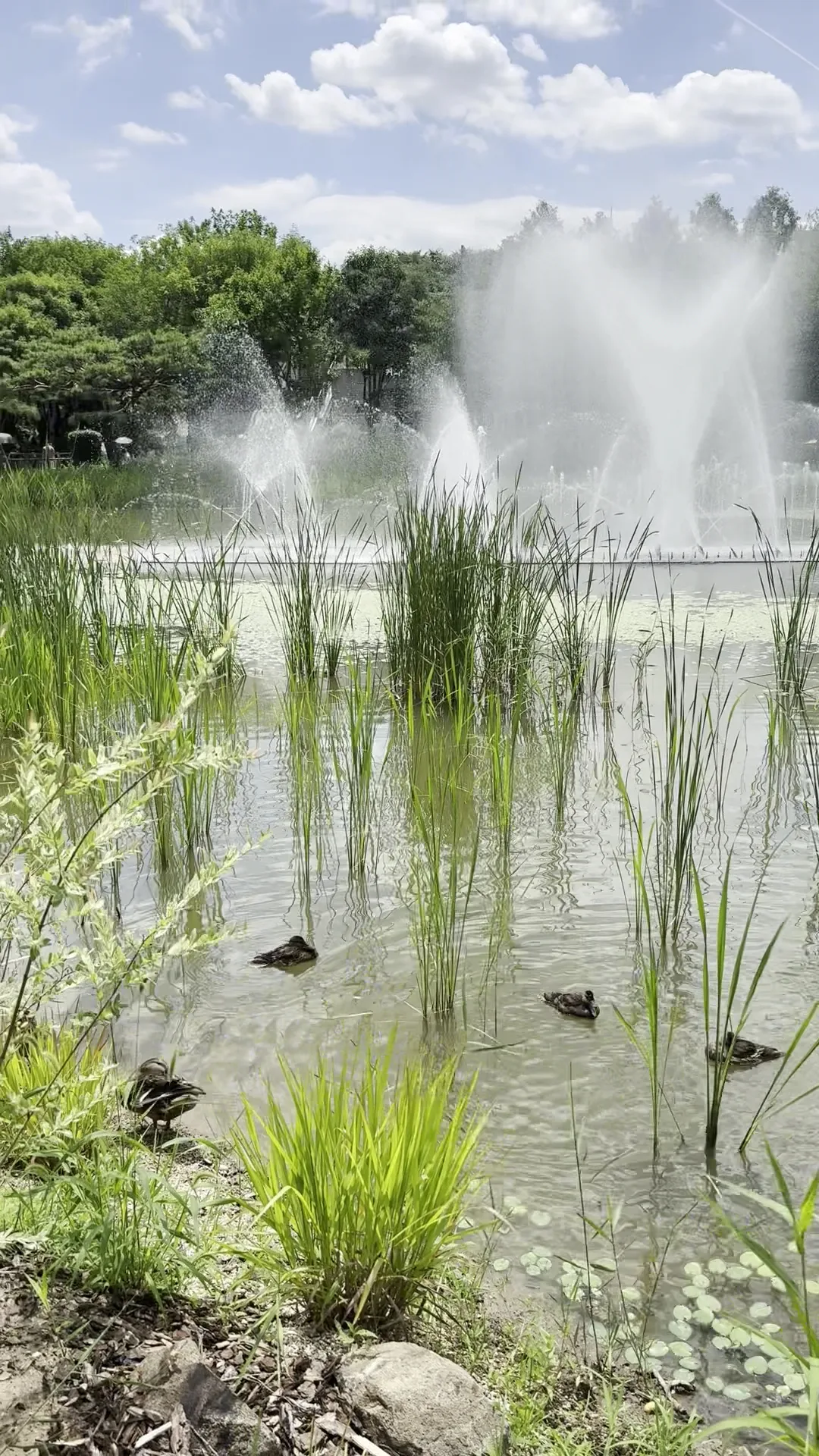 Details at Seoul Forest Park Seoul — travel photo
