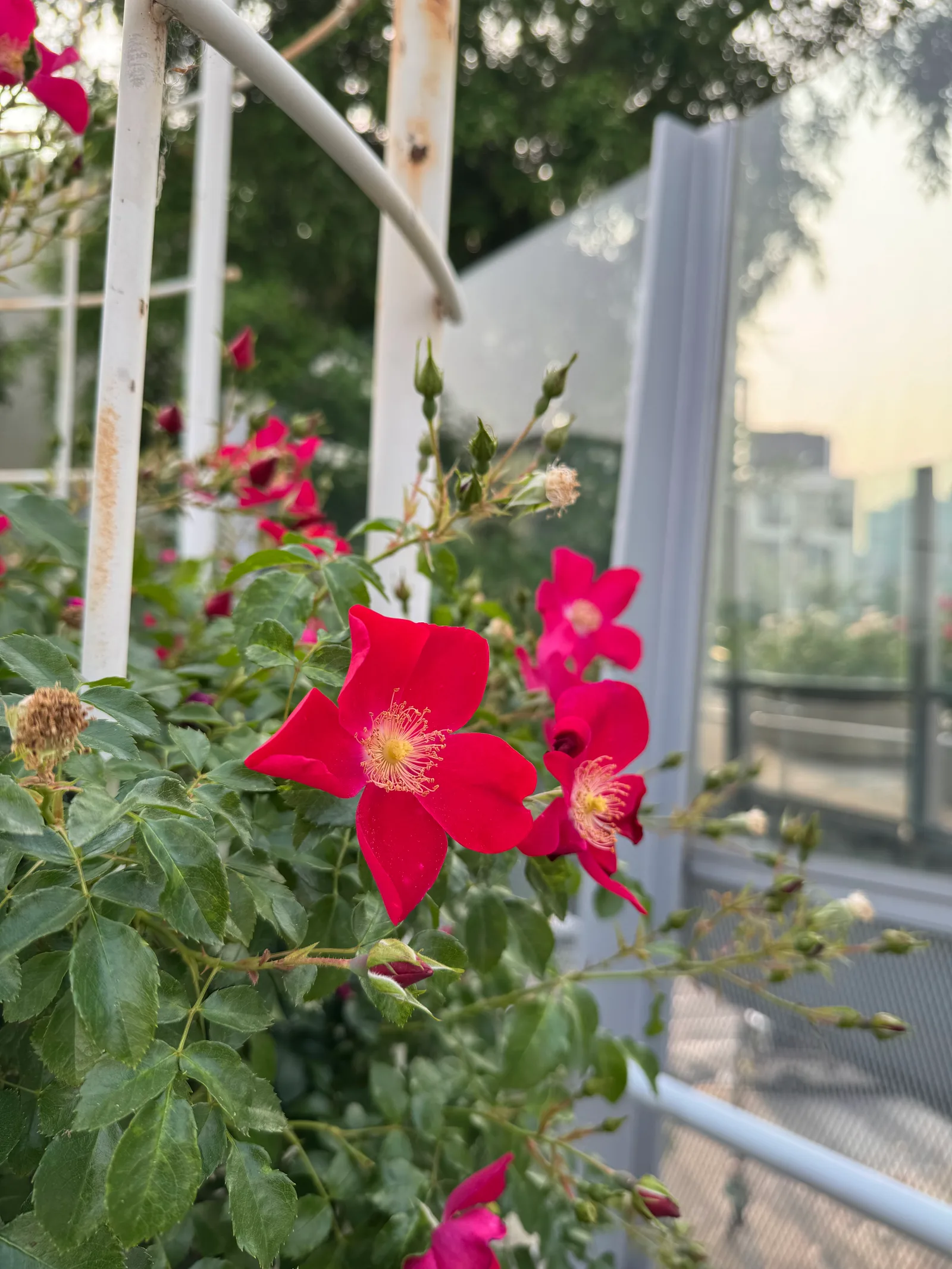 Atmosphere at Seoullo 7017 Seoul — travel photo