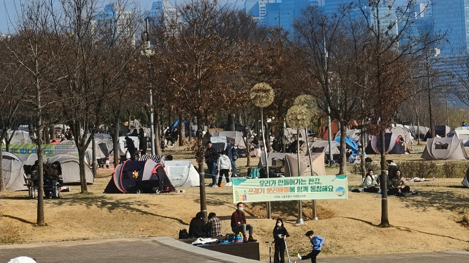 Details at Ttukseom Hangang Park Seoul — travel photo