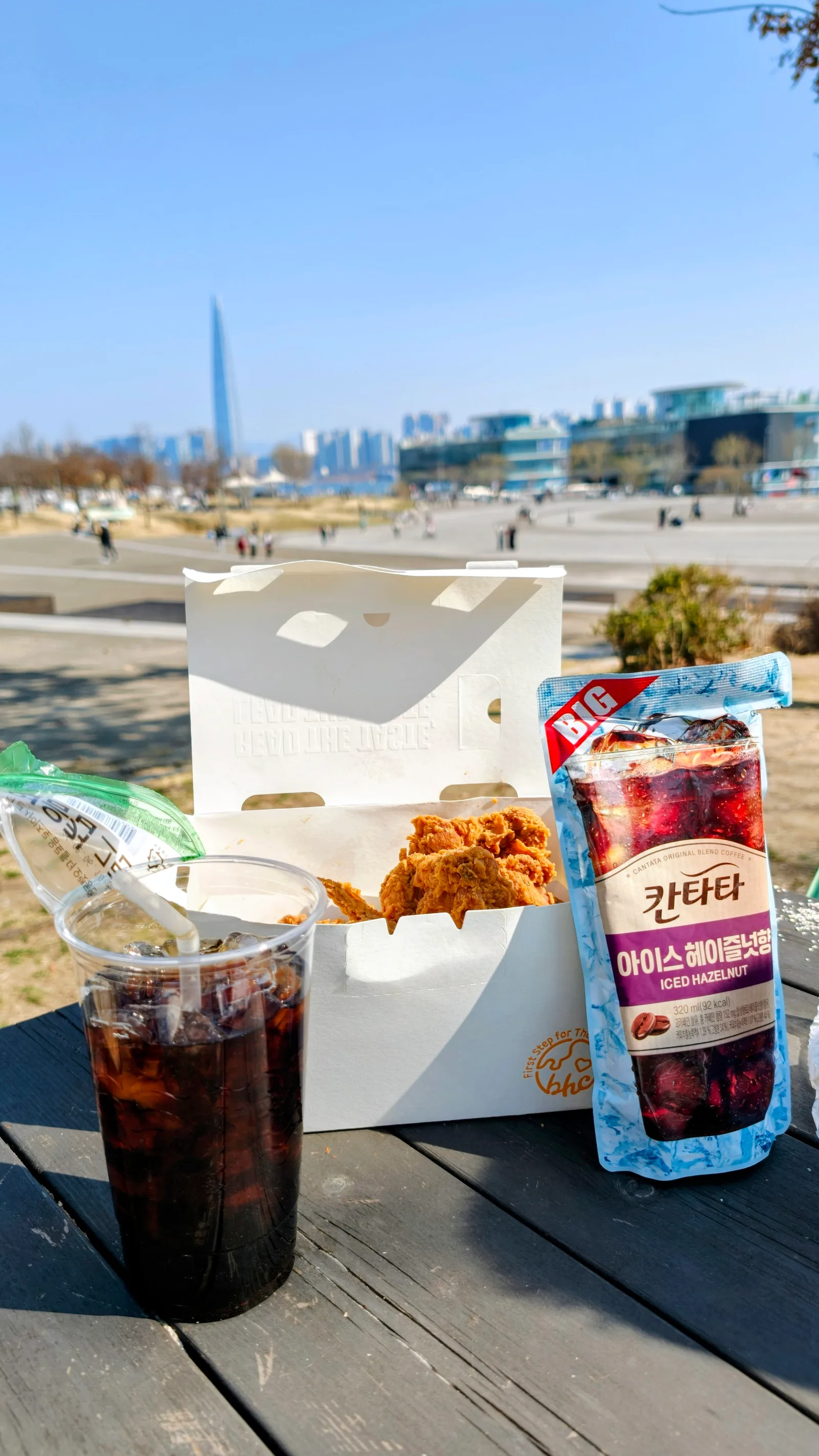 Atmosphere at Ttukseom Hangang Park Seoul — travel photo