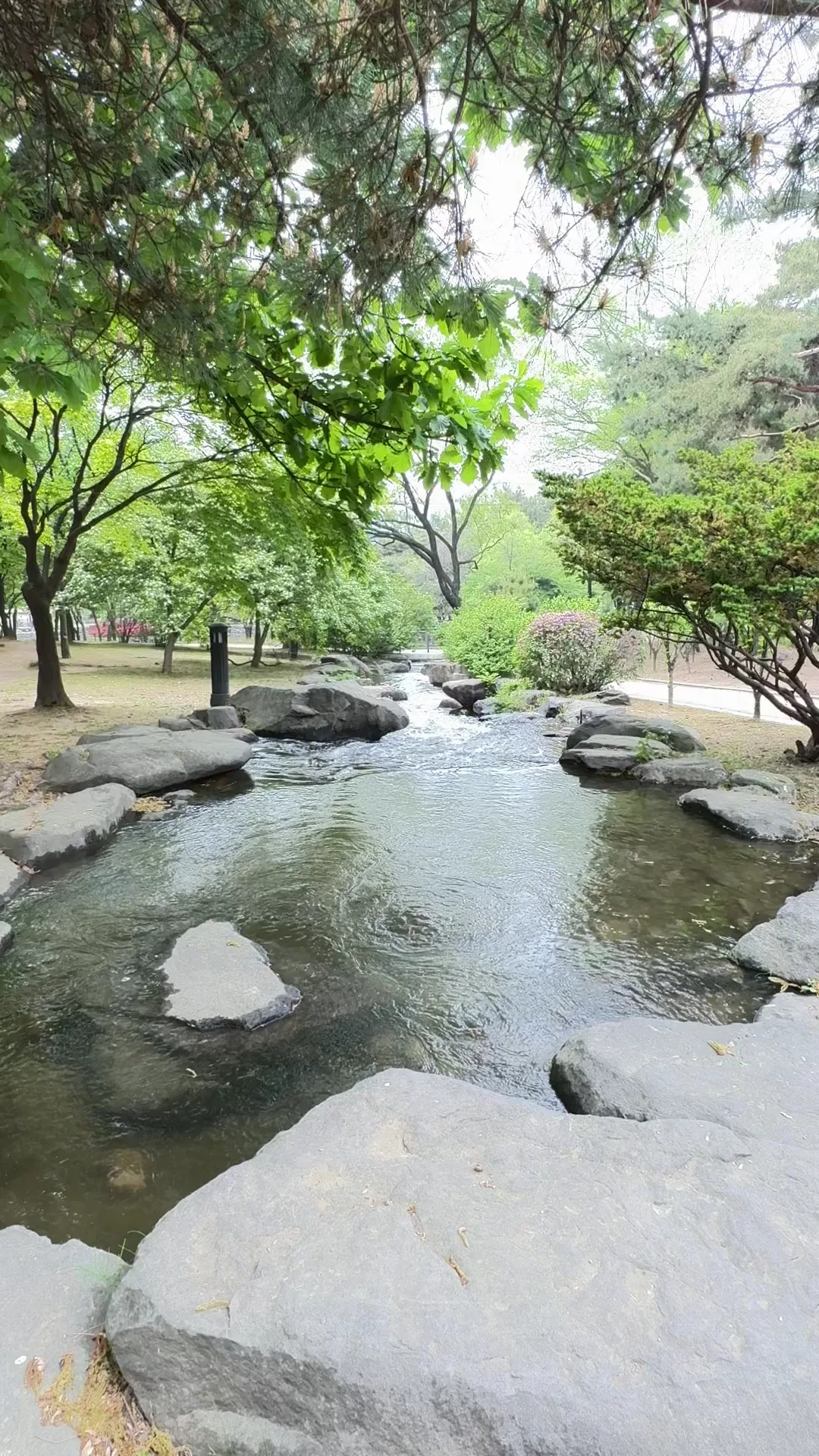 Atmosphere at Yeouido Park Seoul — travel photo