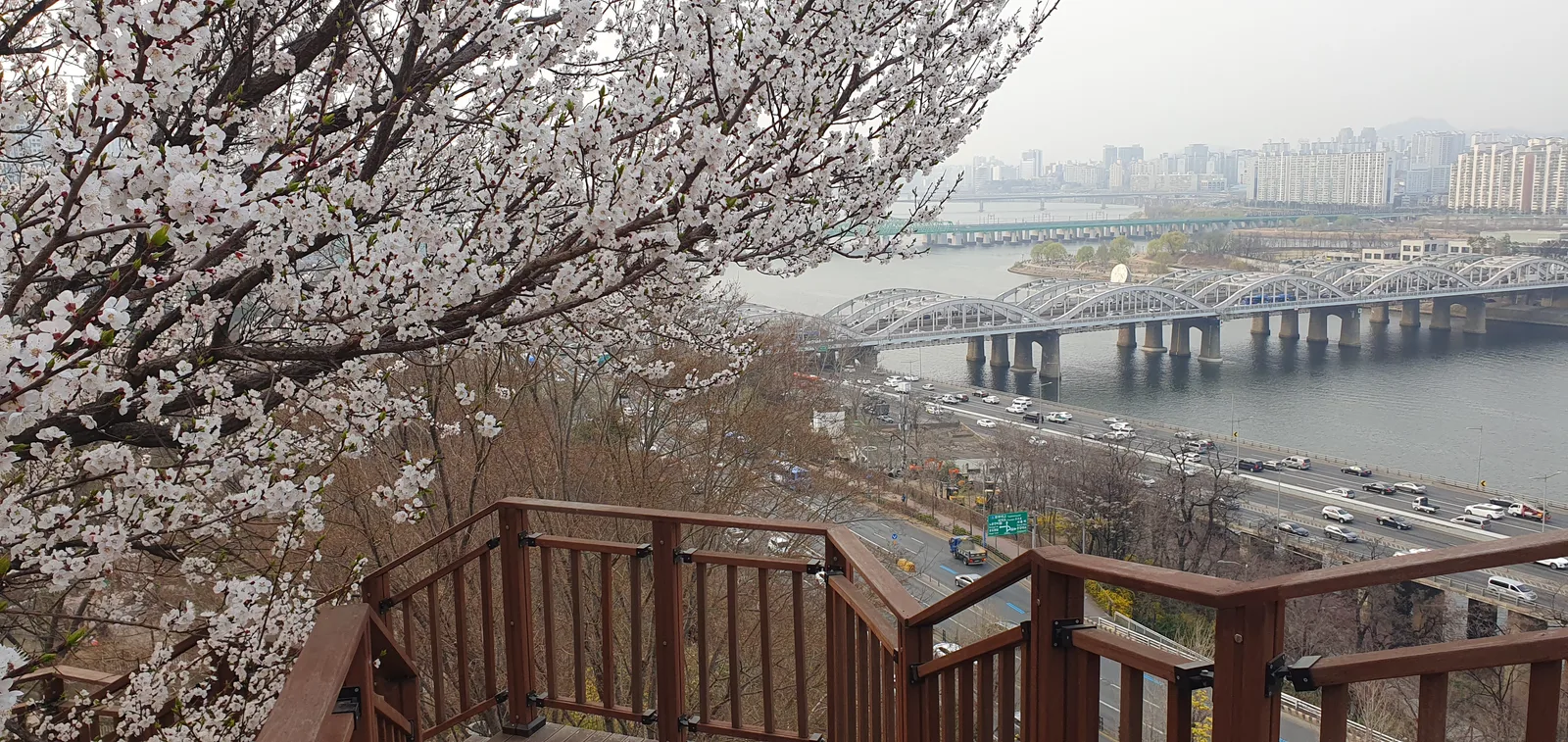 Details at Yongyangbongjeojeong Park Seoul — travel photo