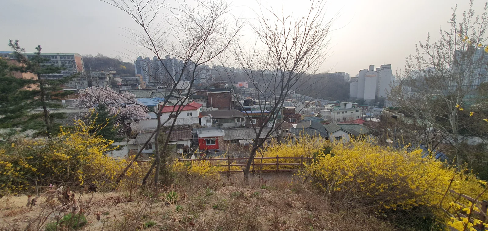 Atmosphere at Yongyangbongjeojeong Park Seoul — travel photo