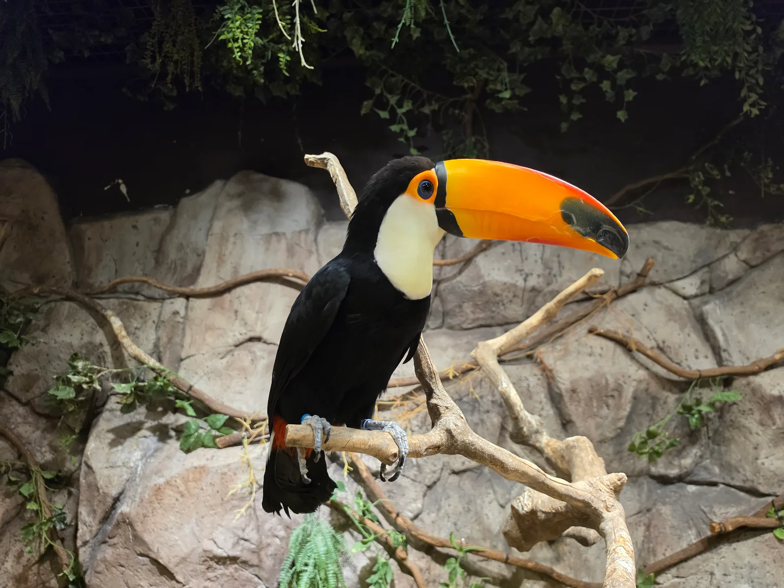 Main view at Zoolung Zoolung Seoul — travel photo